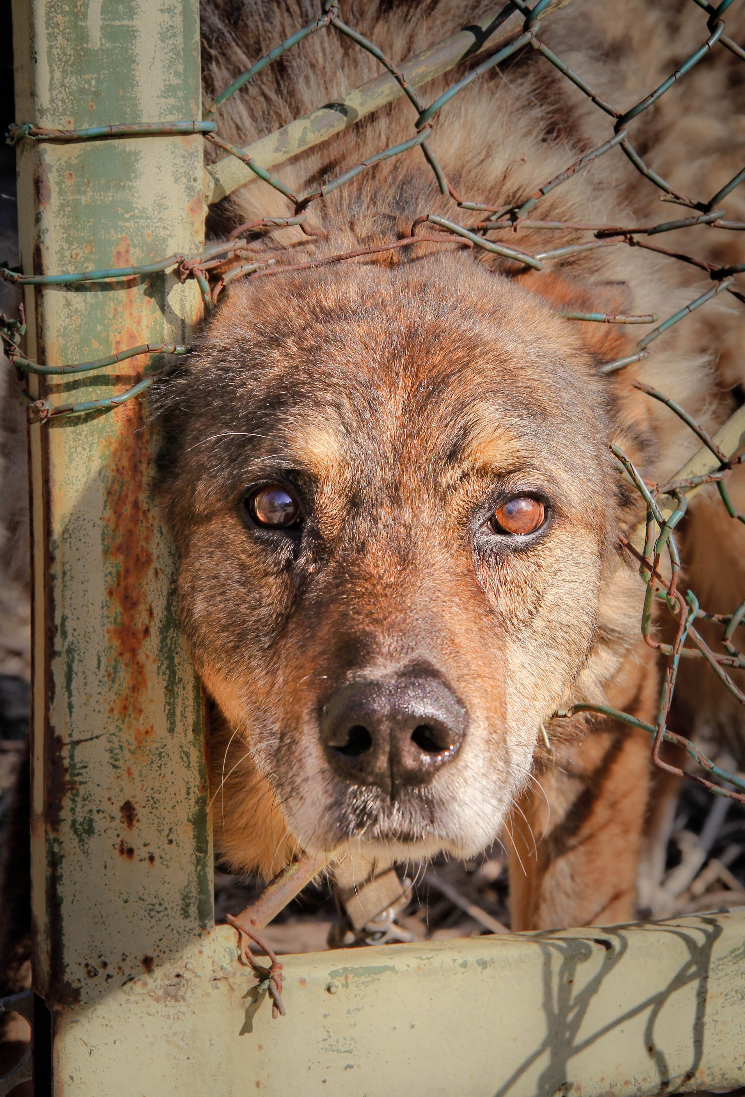 2013. Стрит-фотография, полная абсурда, идиотизма и красоты