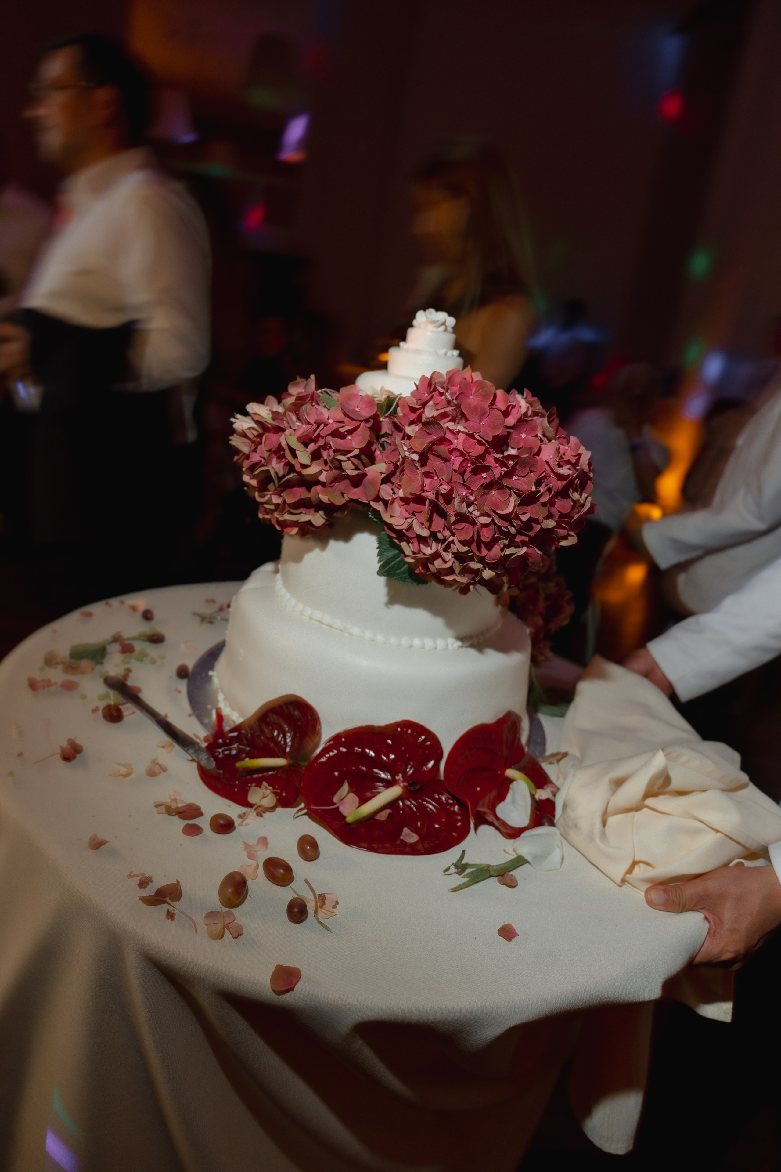 Amir and Maya. Anna Krasnova Wedding photographer