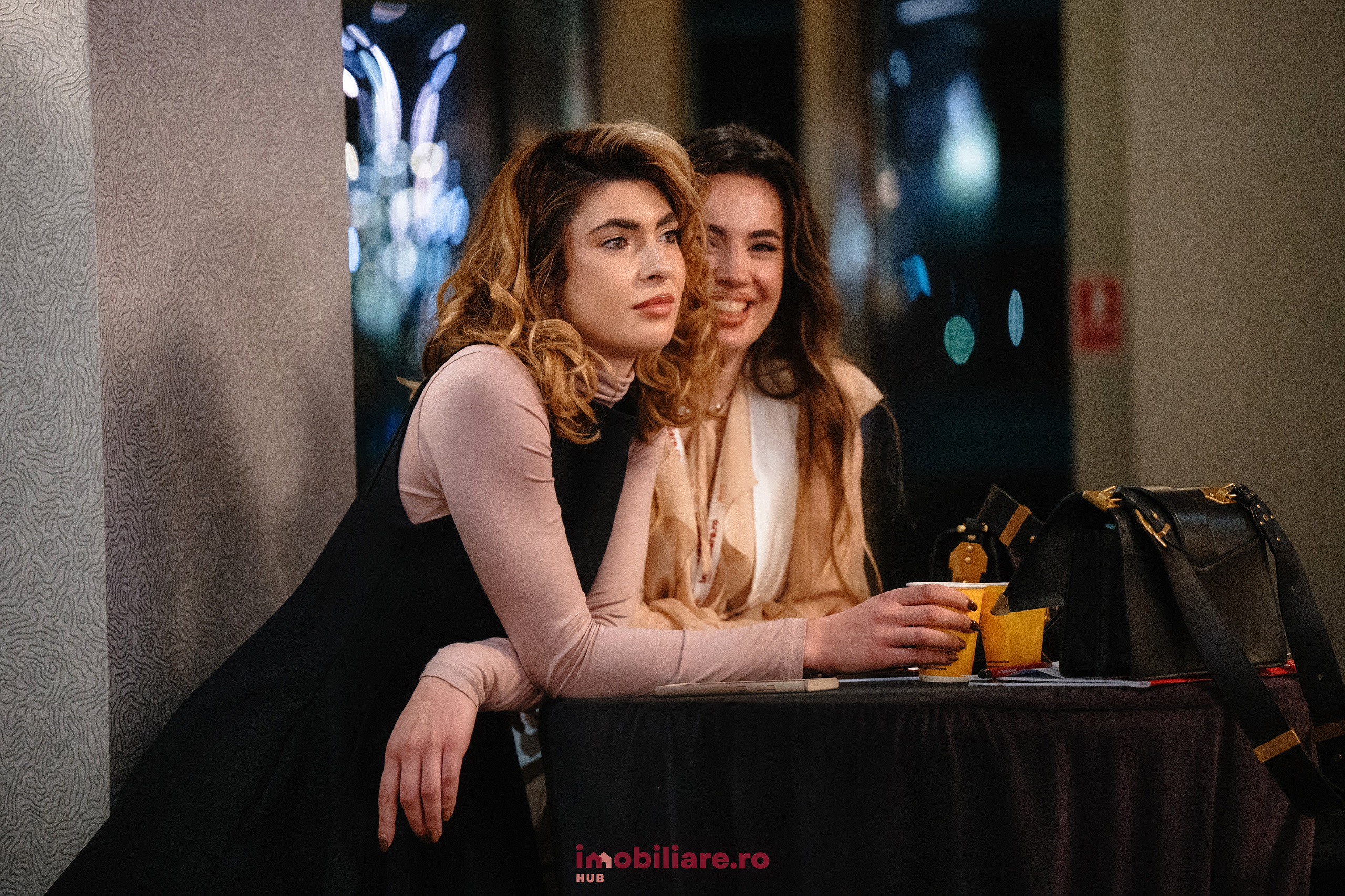 Imobliare HUB. Laurentiu Stefan StoryTeller