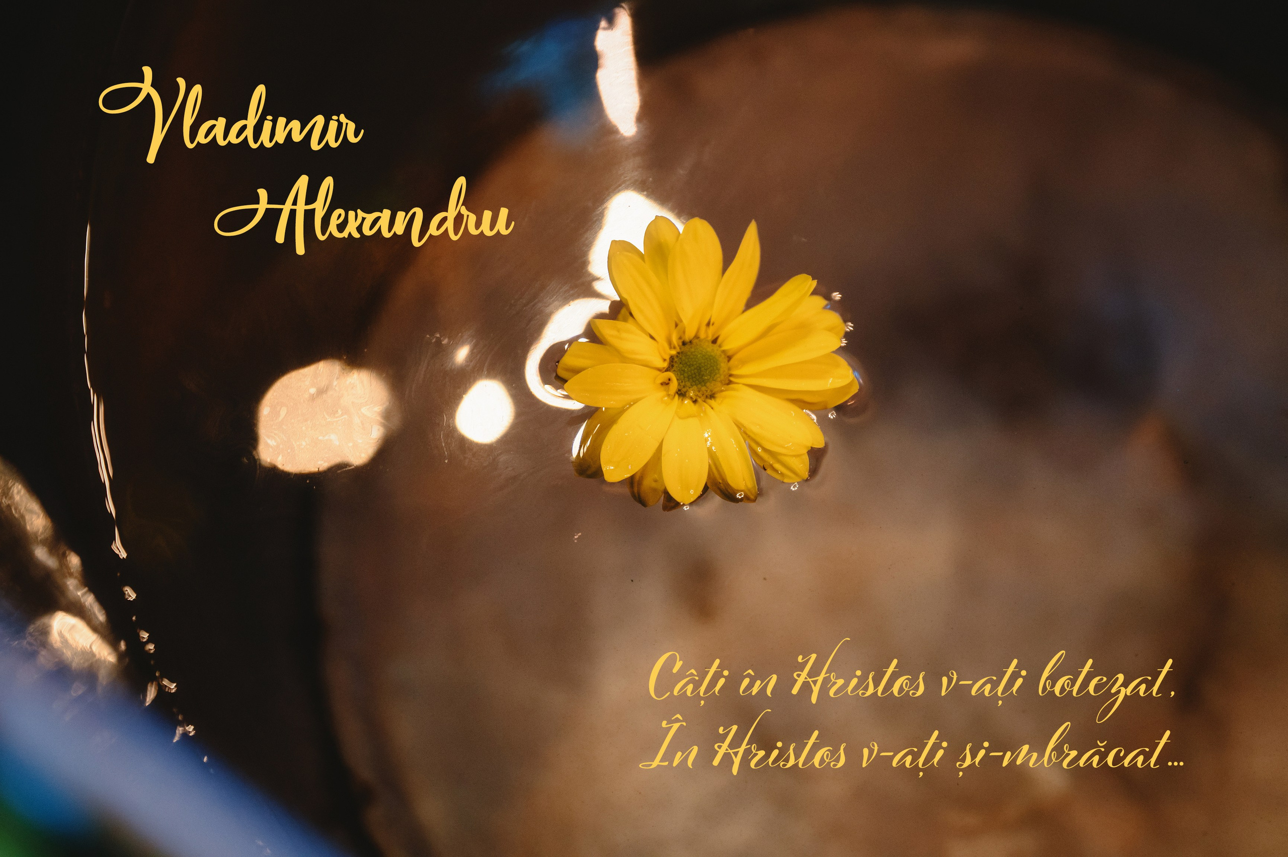 Povestea lui Vladimir. Laurentiu Stefan StoryTeller