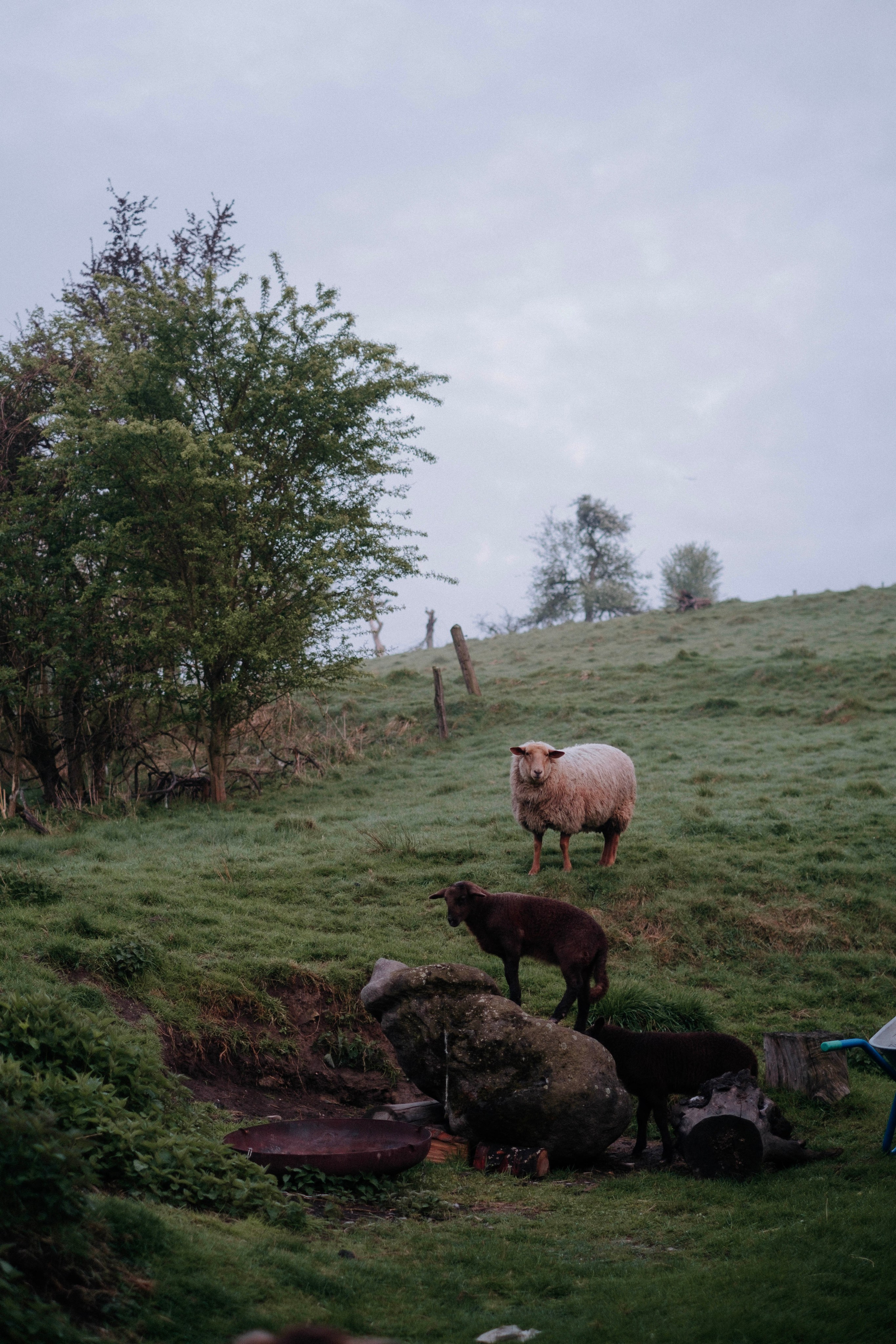 One year in a 500 years old house. Authentische Familienfotografie in Köln