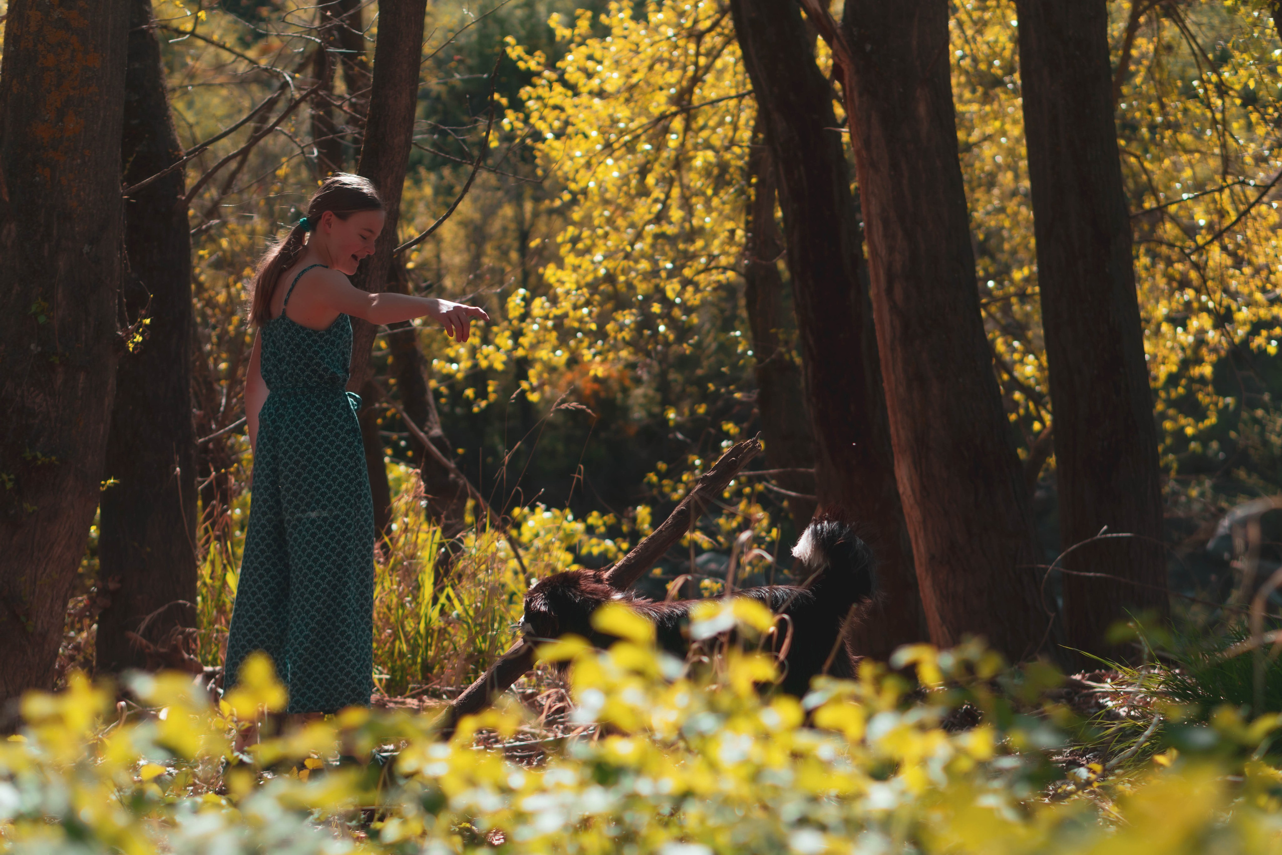 Noa&Agnia. Alba del Norte Studio