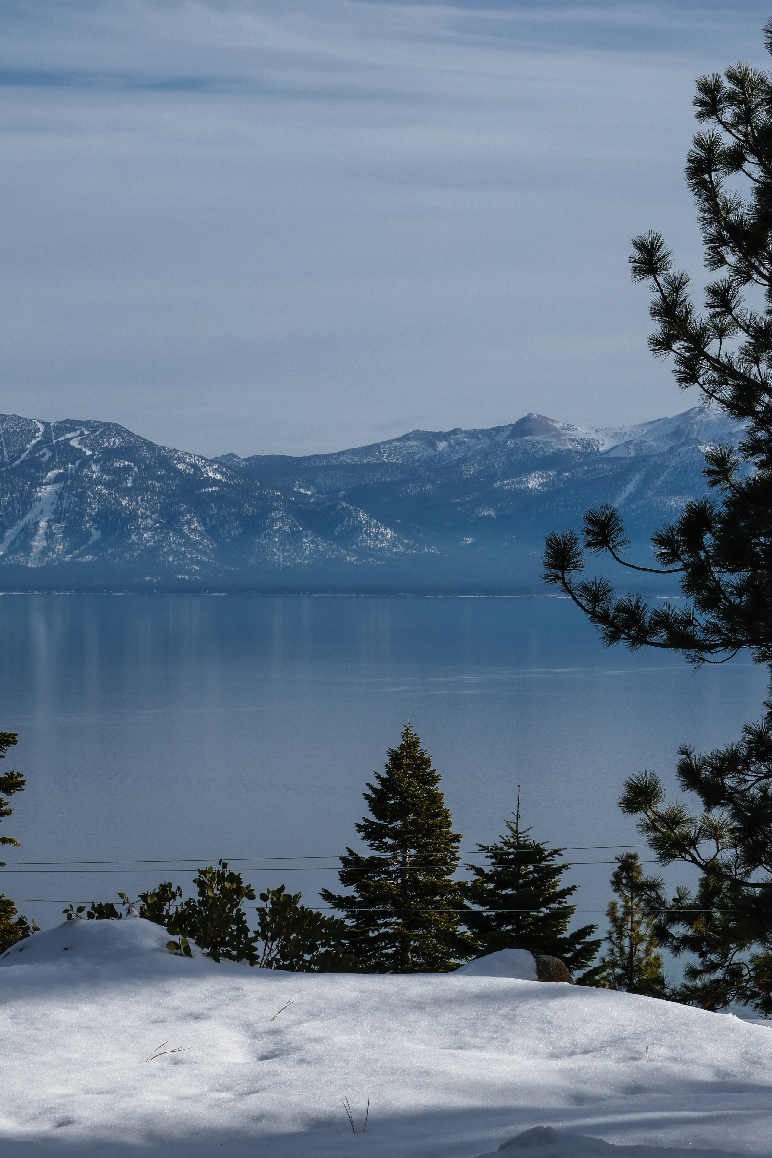 Real estate (Interior). Photographer-Videographer Maryna Pypa in Los Angeles