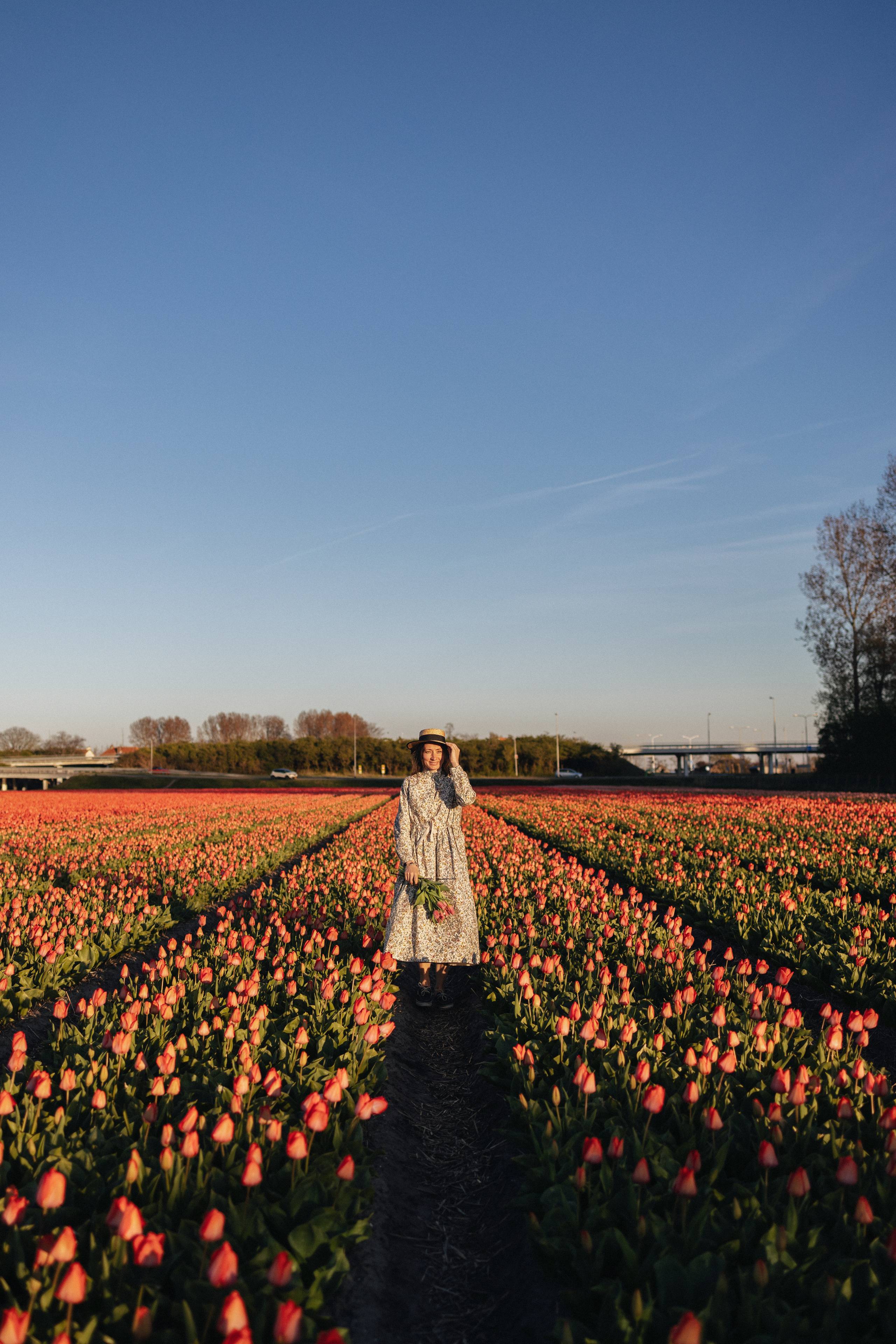 Tulip field Netherlands. Newborn and Family Photographer in Bromley, London, Liliya Potekhina