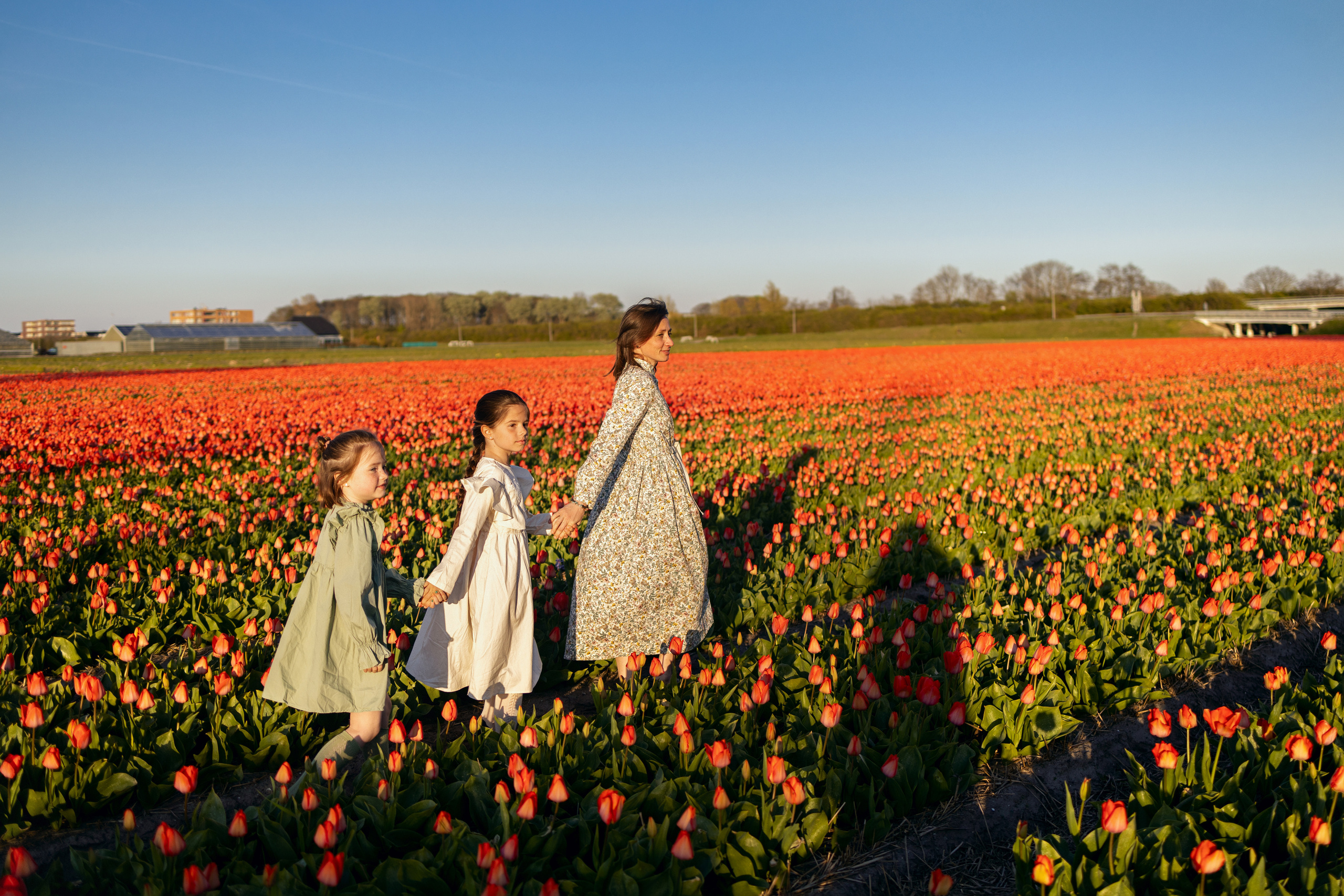 Tulip field Netherlands. Newborn and Family Photographer in Bromley, London, Liliya Potekhina