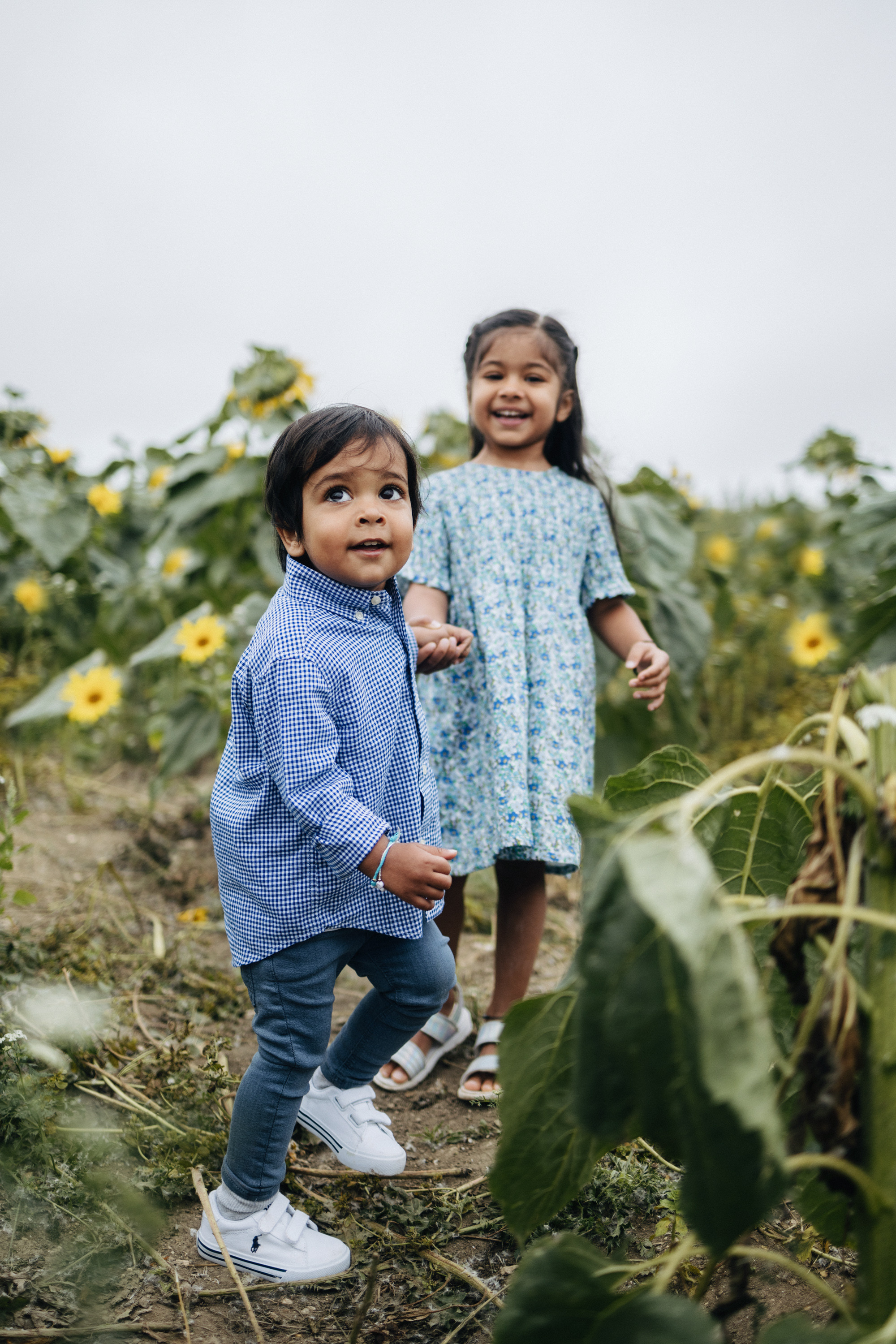 Vie’s family Sunflowers. Newborn and Family Photographer in Bromley, London, Liliya Potekhina
