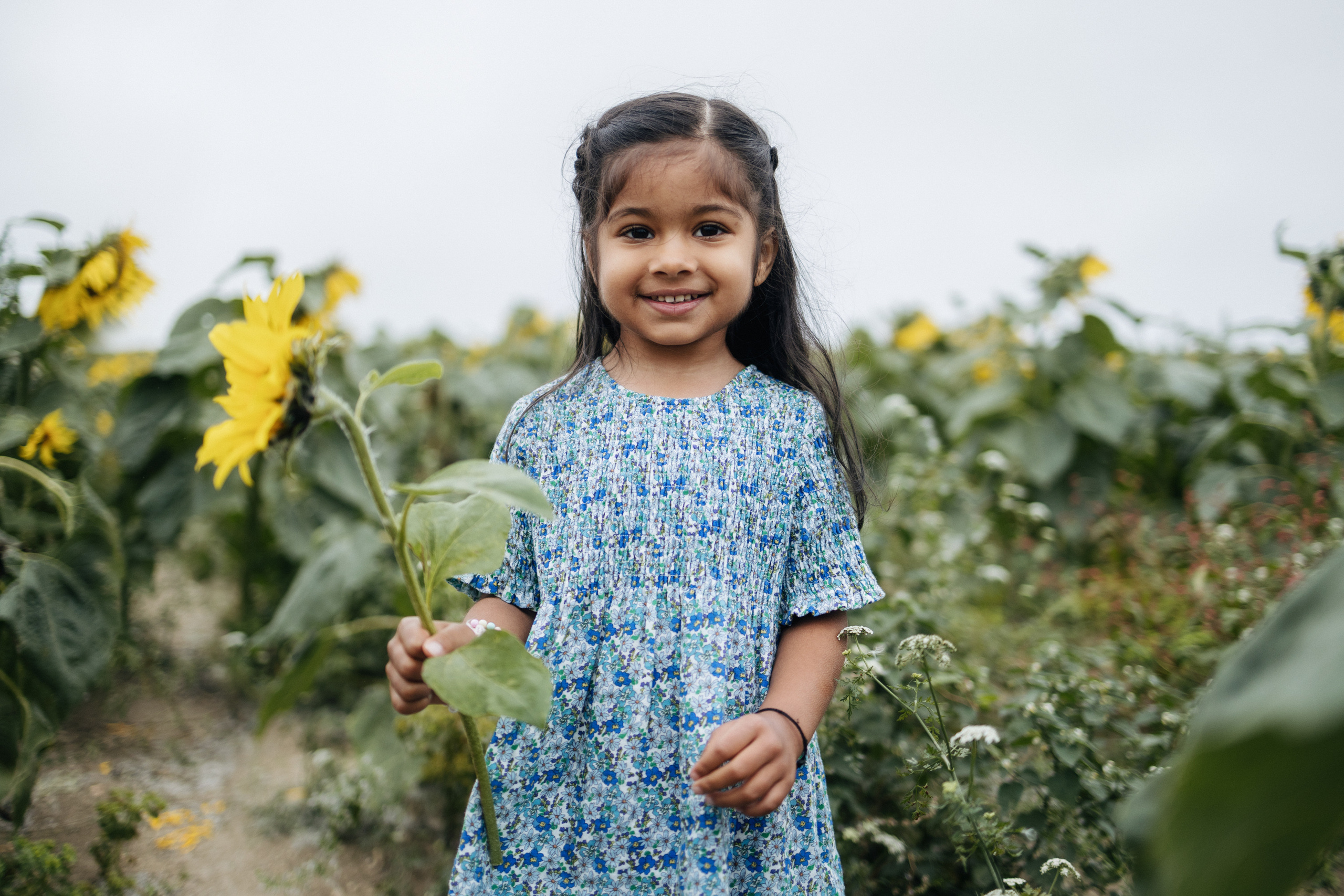 Vie’s family Sunflowers. Newborn and Family Photographer in Bromley, London, Liliya Potekhina
