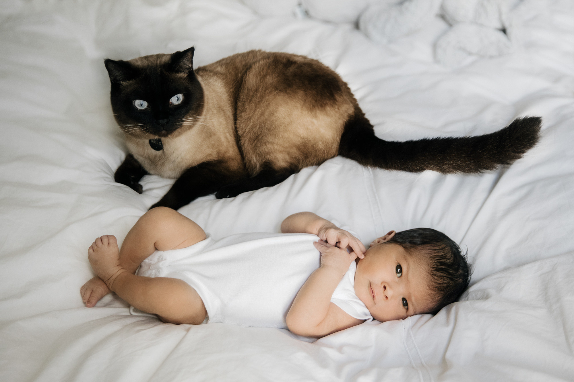 Lily 8 days new. Newborn and Family Photographer in Bromley, London, Liliya Potekhina