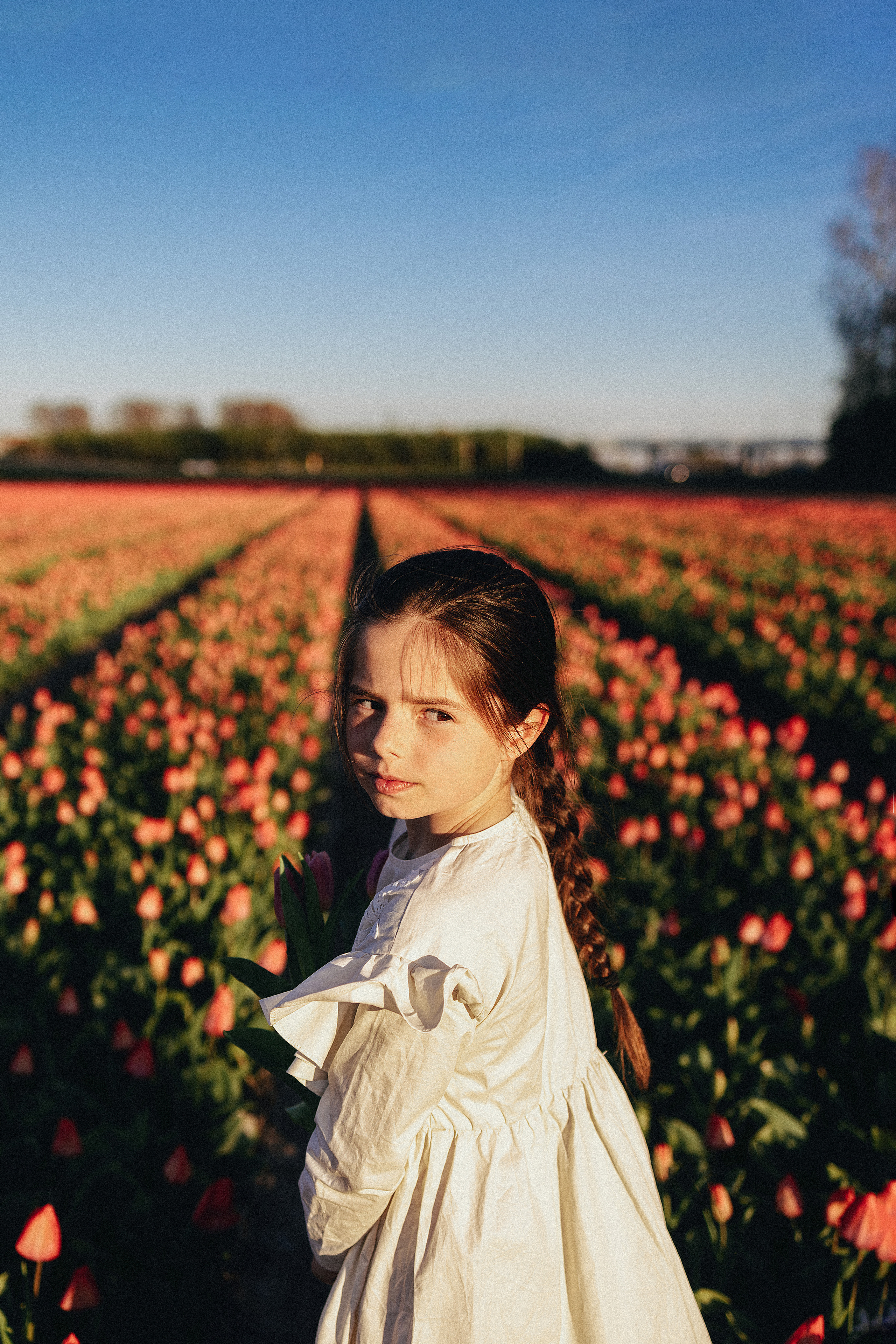 Tulip field Netherlands. Newborn and Family Photographer in Bromley, London, Liliya Potekhina