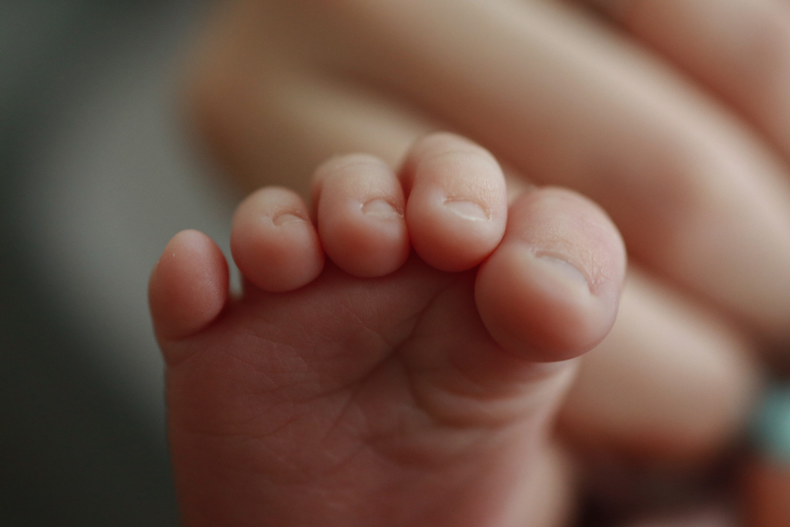 Emily 2 weeks old. Newborn and Family Photographer in Bromley, London, Liliya Potekhina
