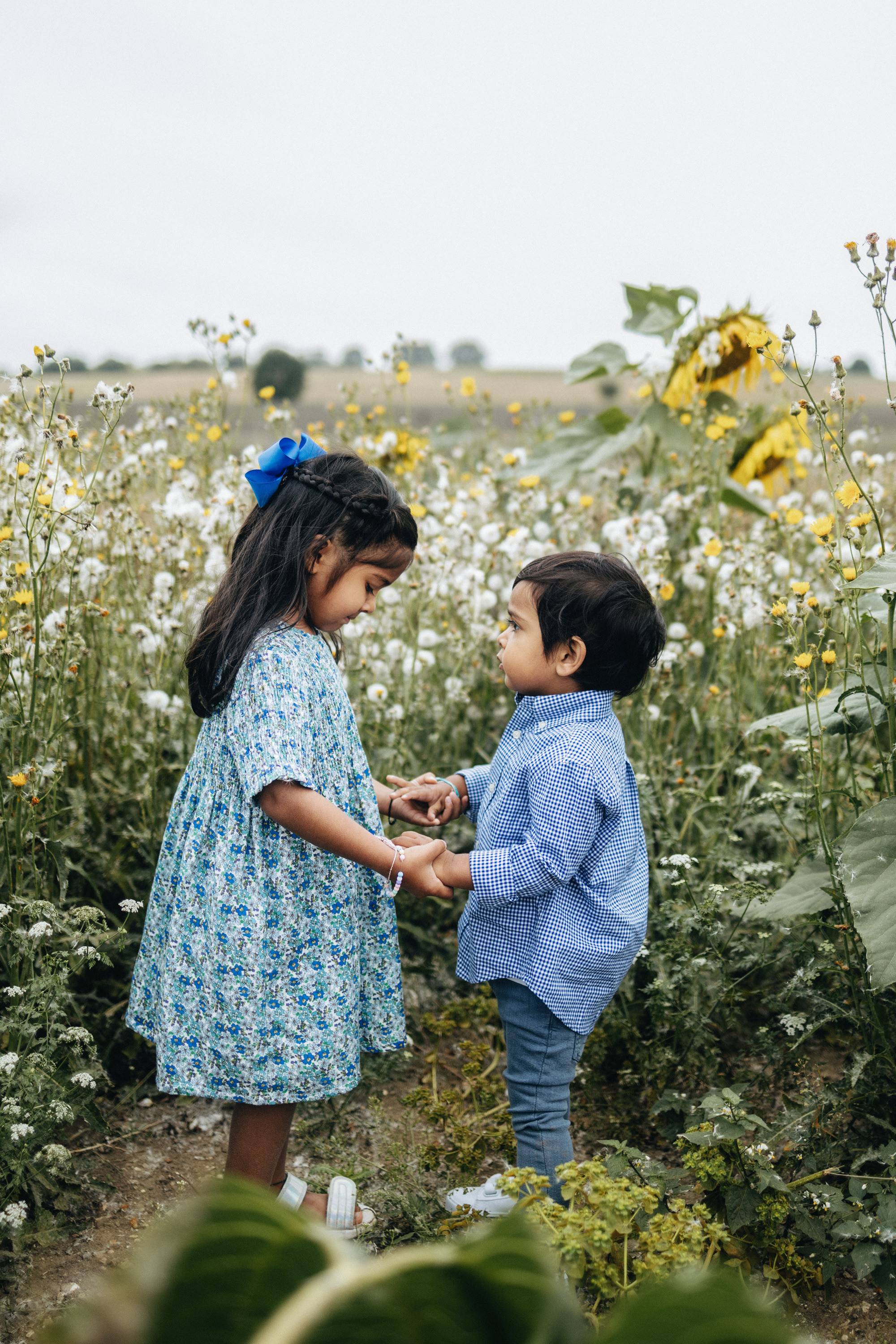 Vie’s family Sunflowers. Newborn and Family Photographer in Bromley, London, Liliya Potekhina