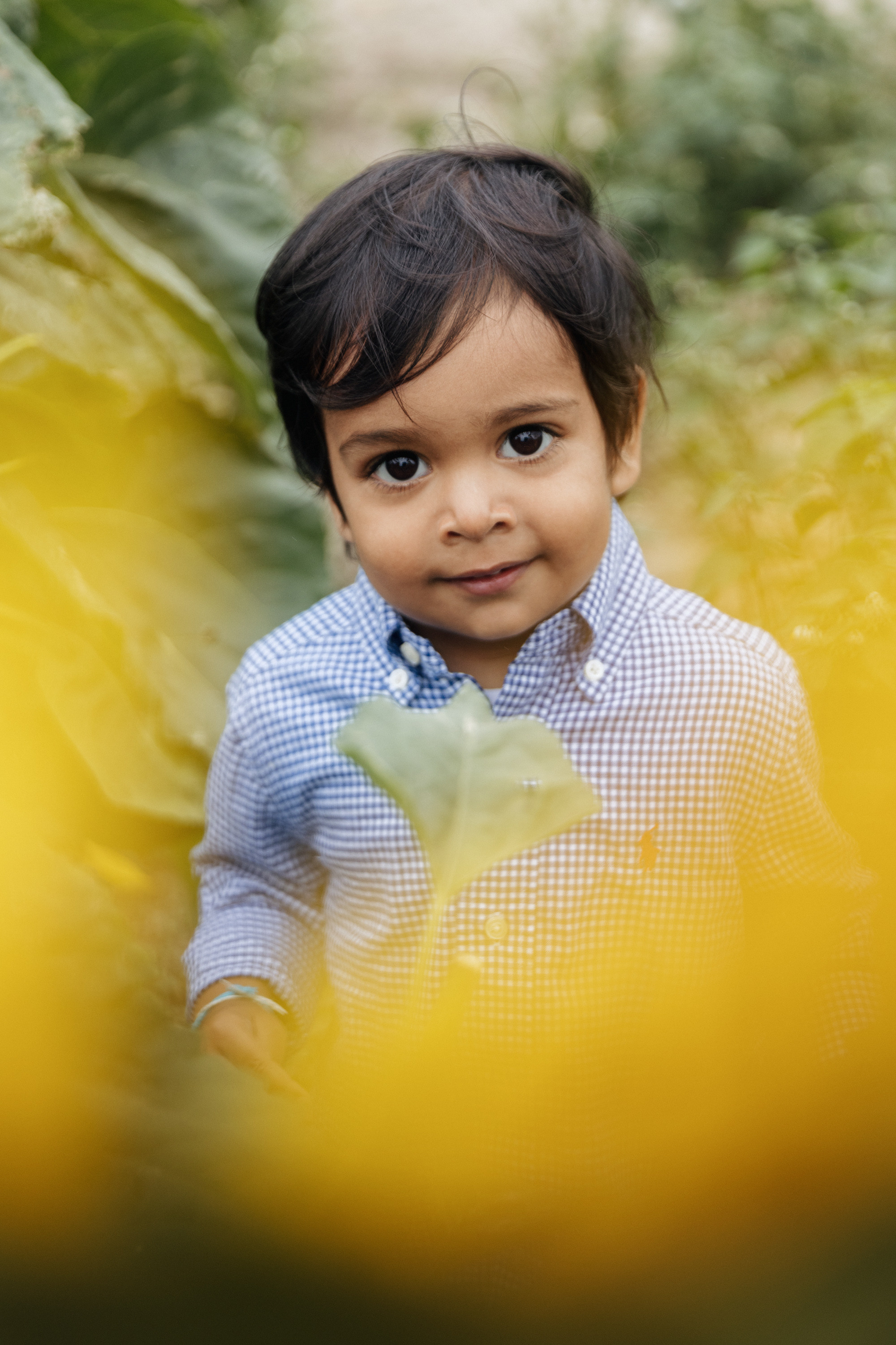 Vie’s family Sunflowers. Newborn and Family Photographer in Bromley, London, Liliya Potekhina