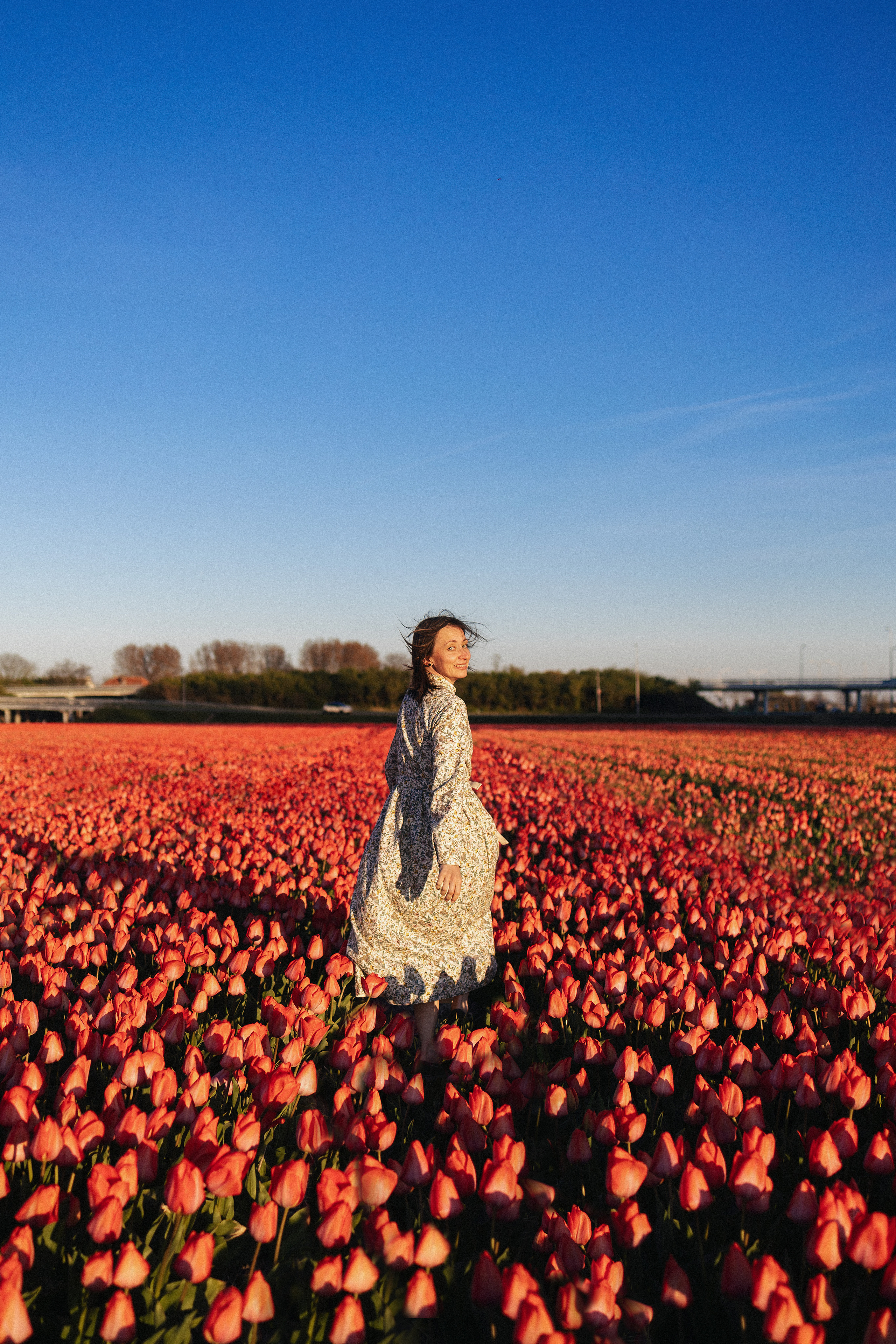 Tulip field Netherlands. Newborn and Family Photographer in Bromley, London, Liliya Potekhina