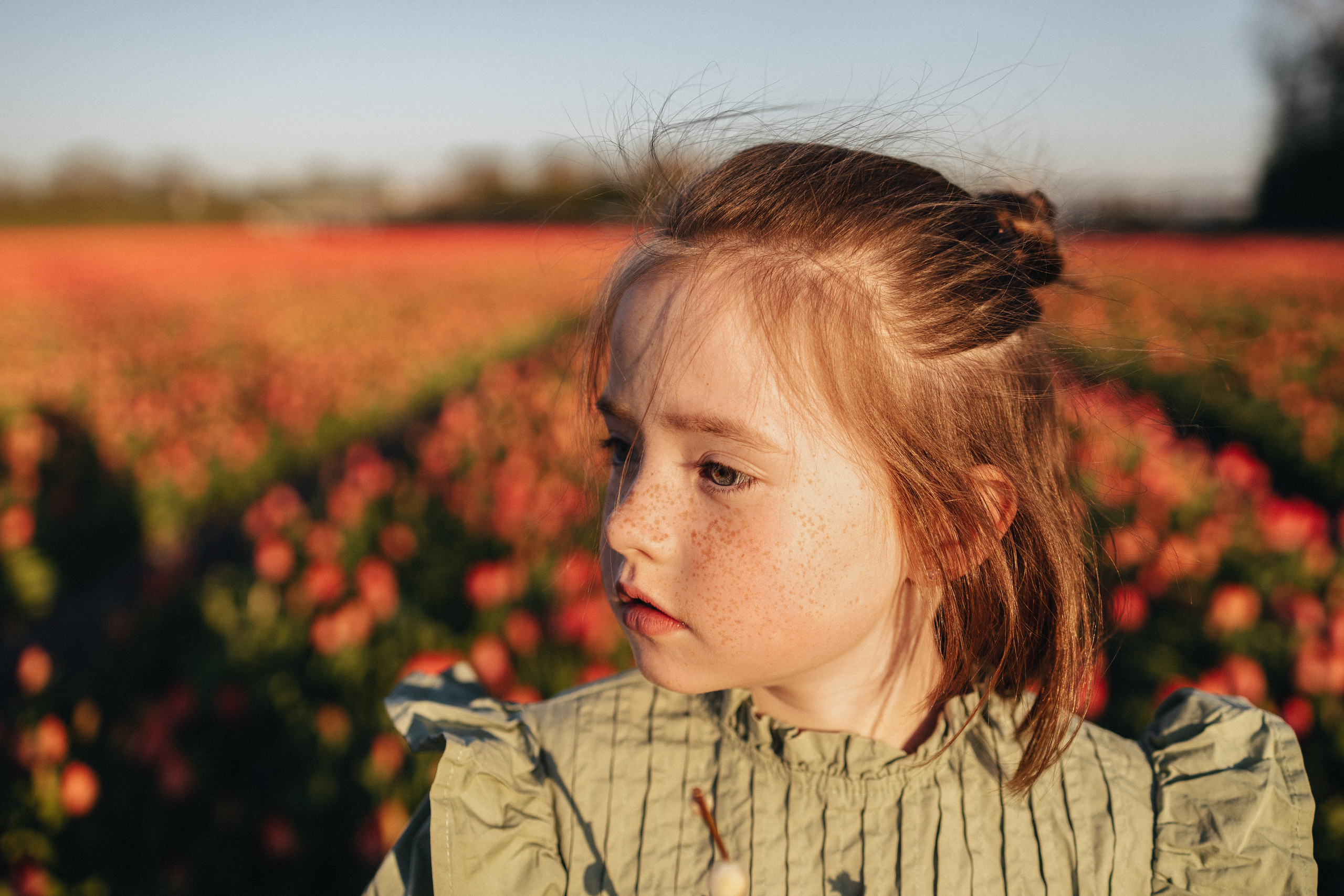Tulip field Netherlands. Newborn and Family Photographer in Bromley, London, Liliya Potekhina