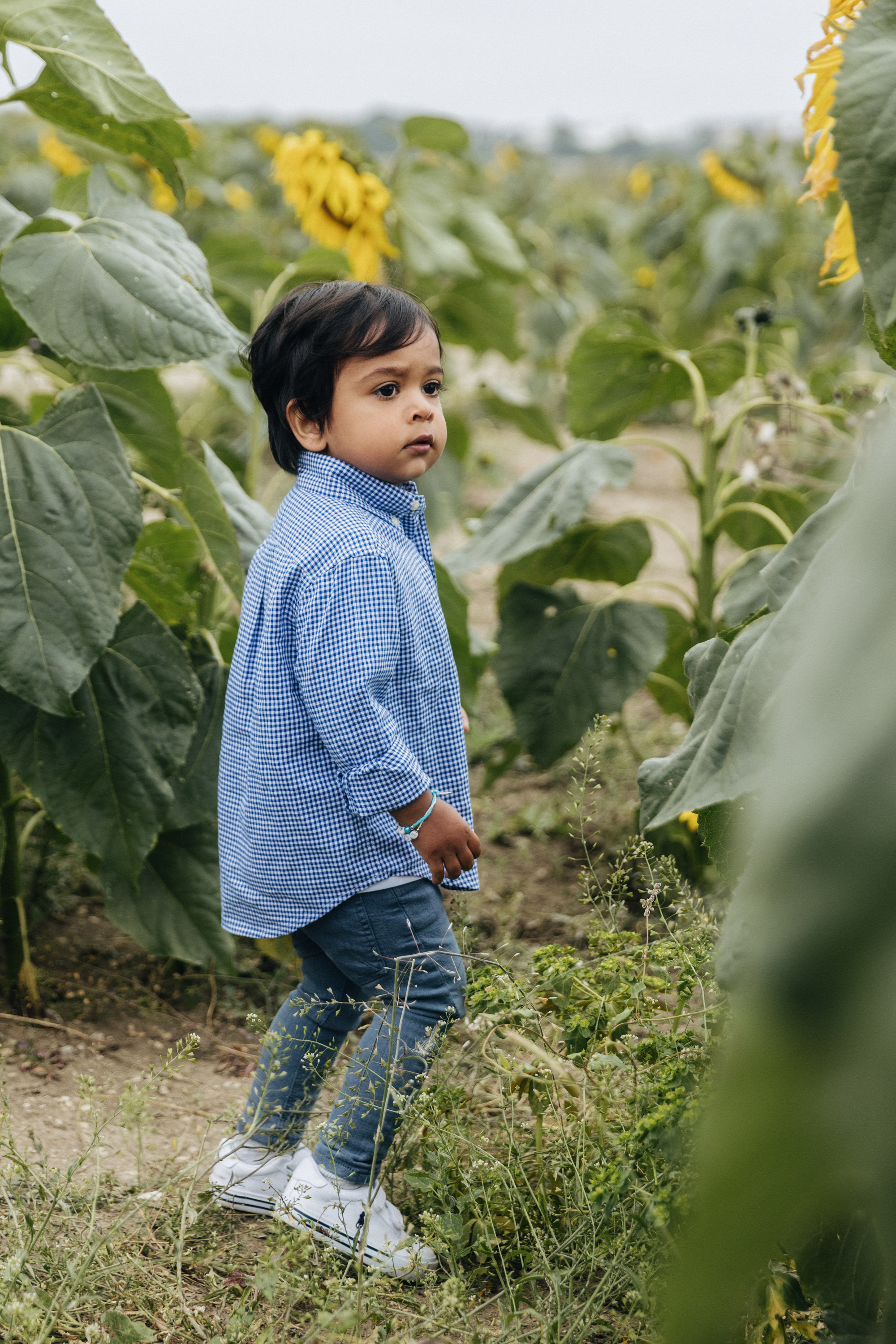 Vie’s family Sunflowers. Newborn and Family Photographer in Bromley, London, Liliya Potekhina