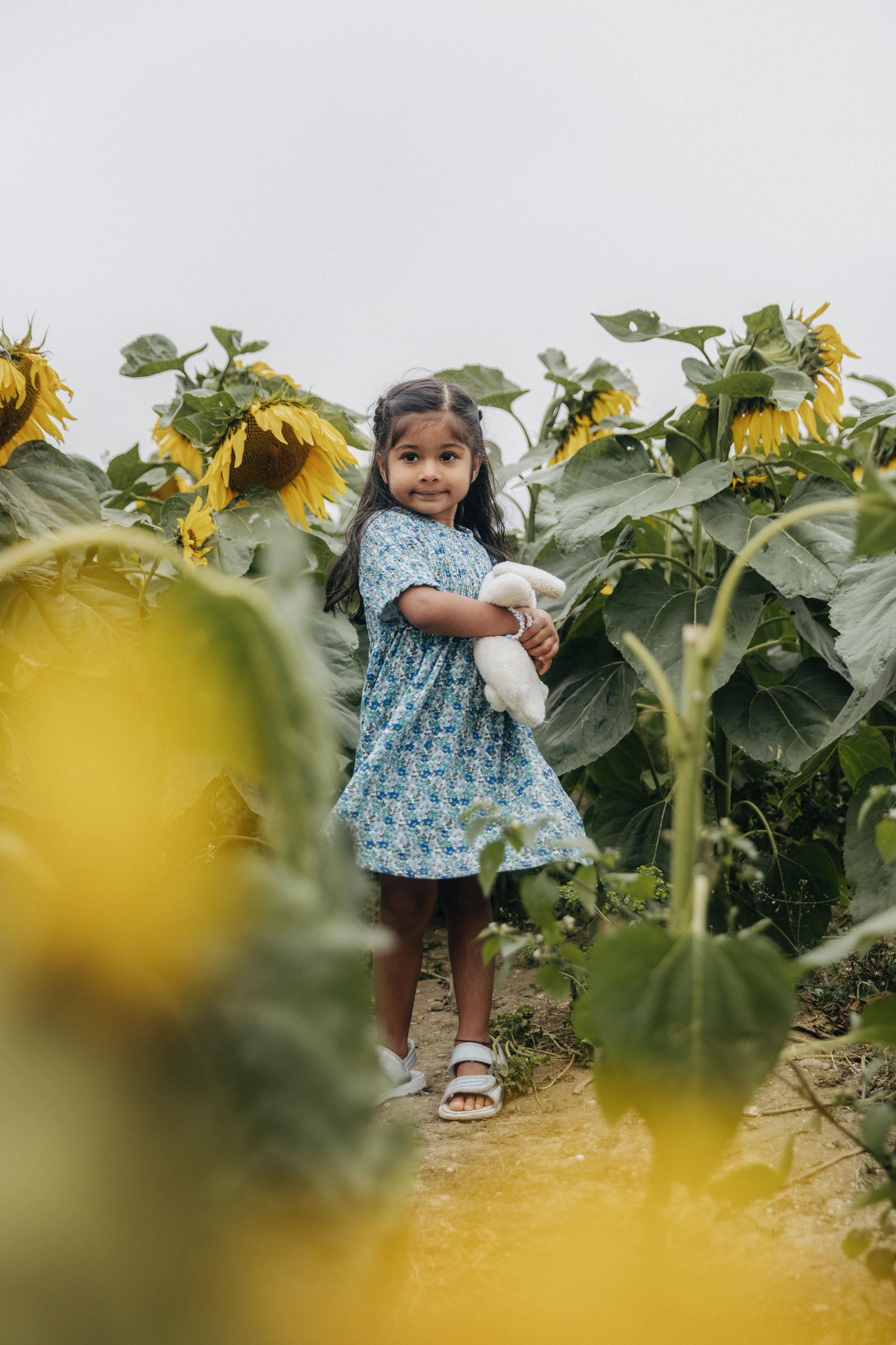 Vie’s family Sunflowers. Newborn and Family Photographer in Bromley, London, Liliya Potekhina