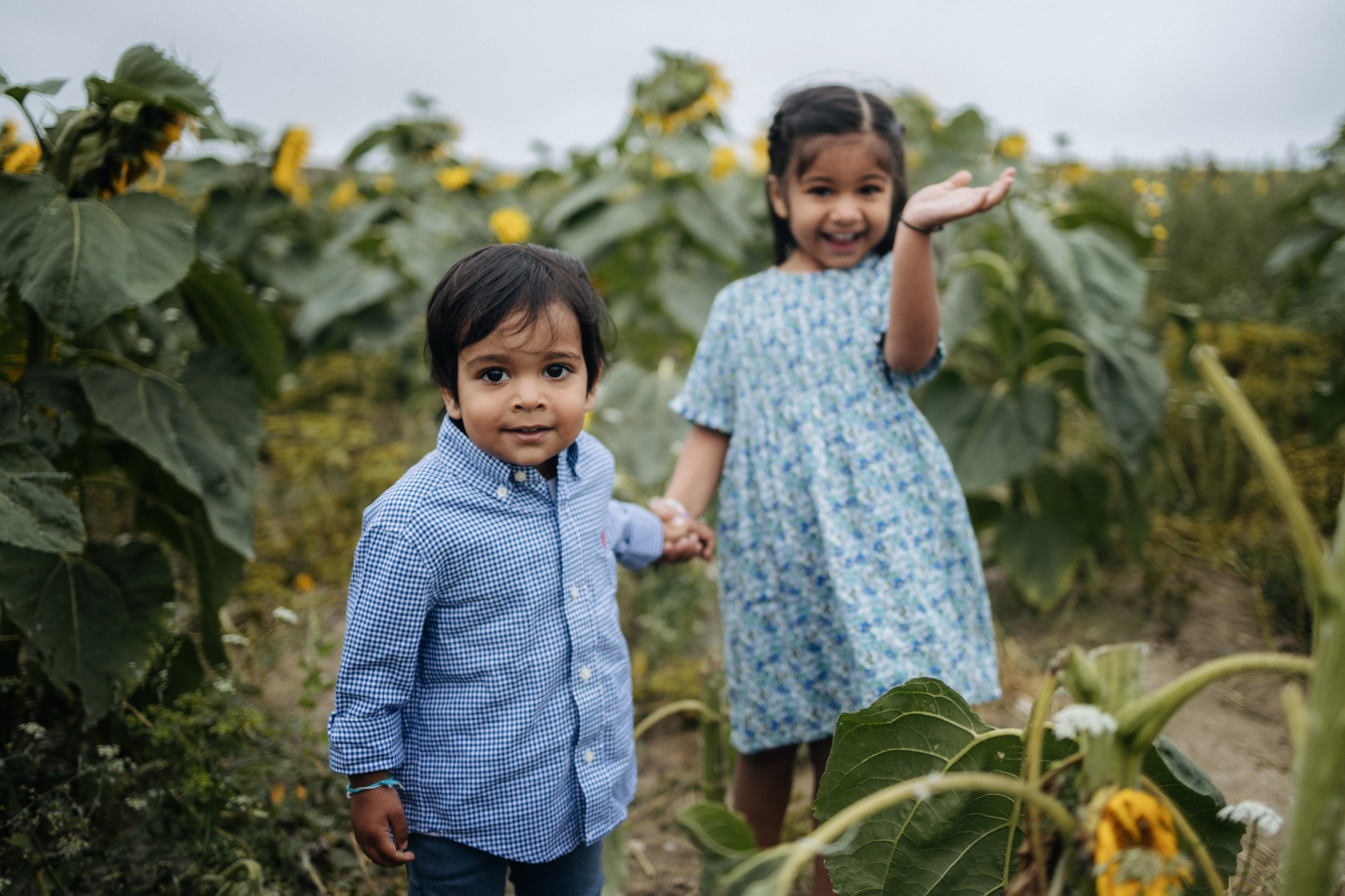 Vie’s family Sunflowers. Newborn and Family Photographer in Bromley, London, Liliya Potekhina