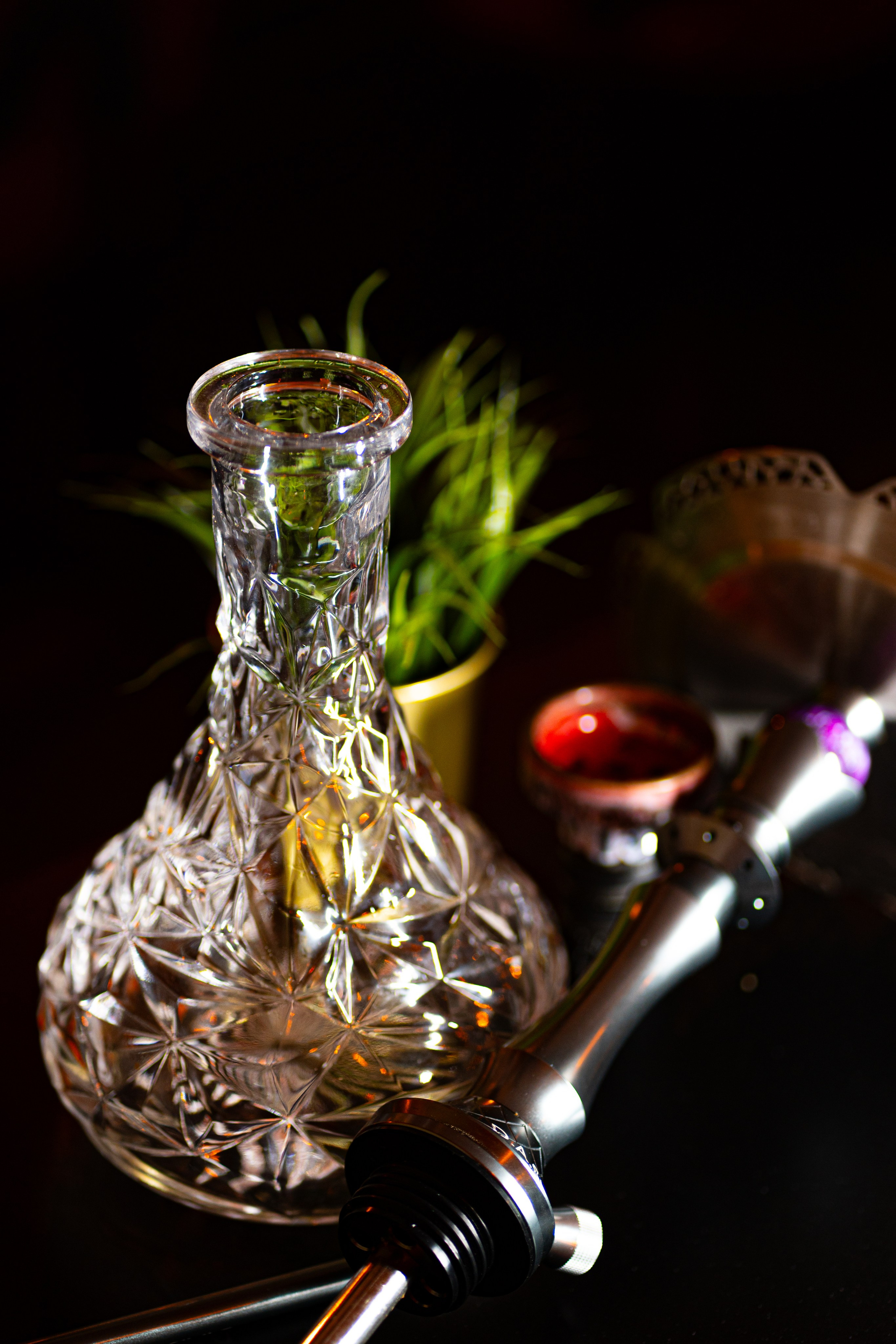 Cachimbas. Baby Beast