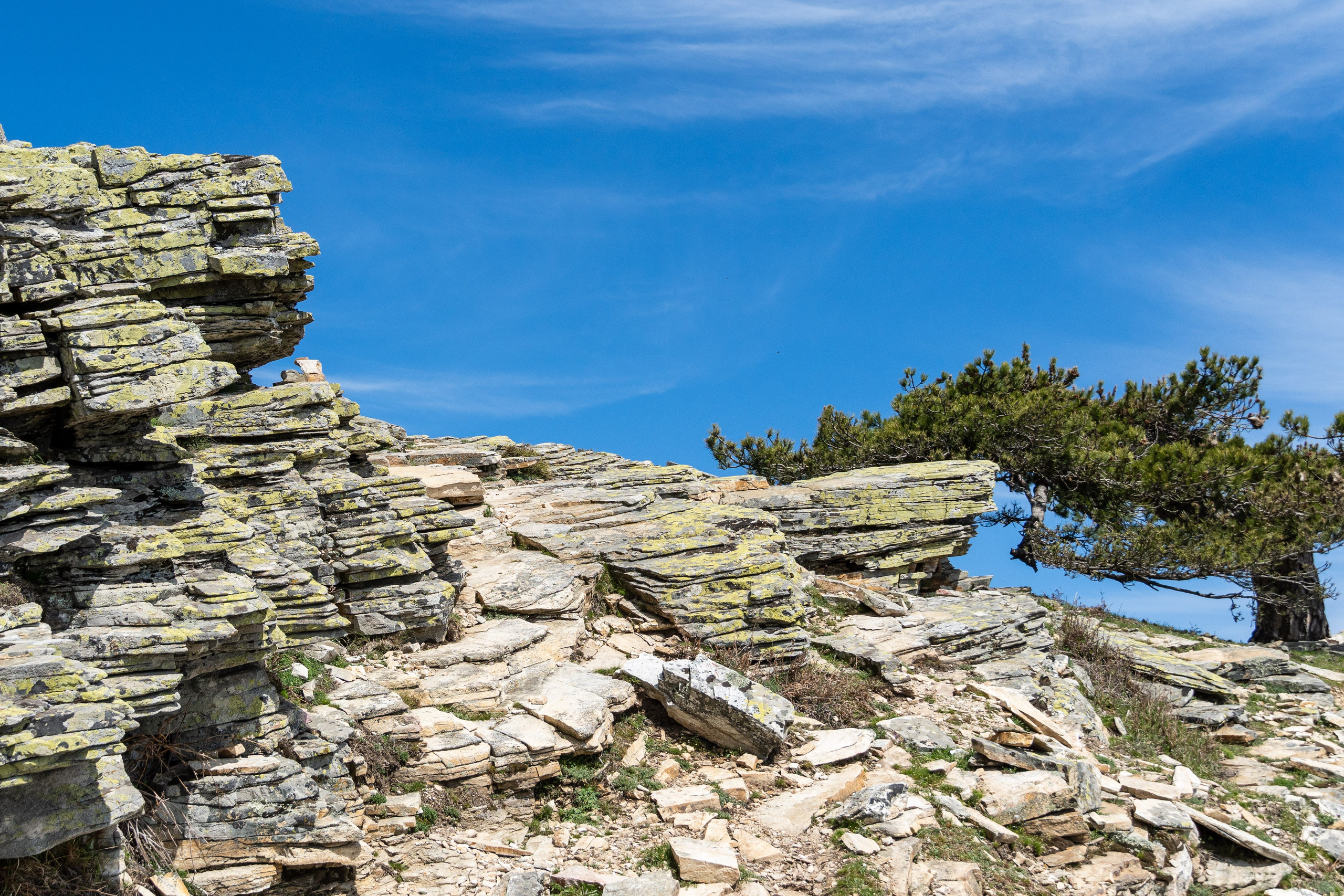 Thasos 2025. Fotografiideplacere.net