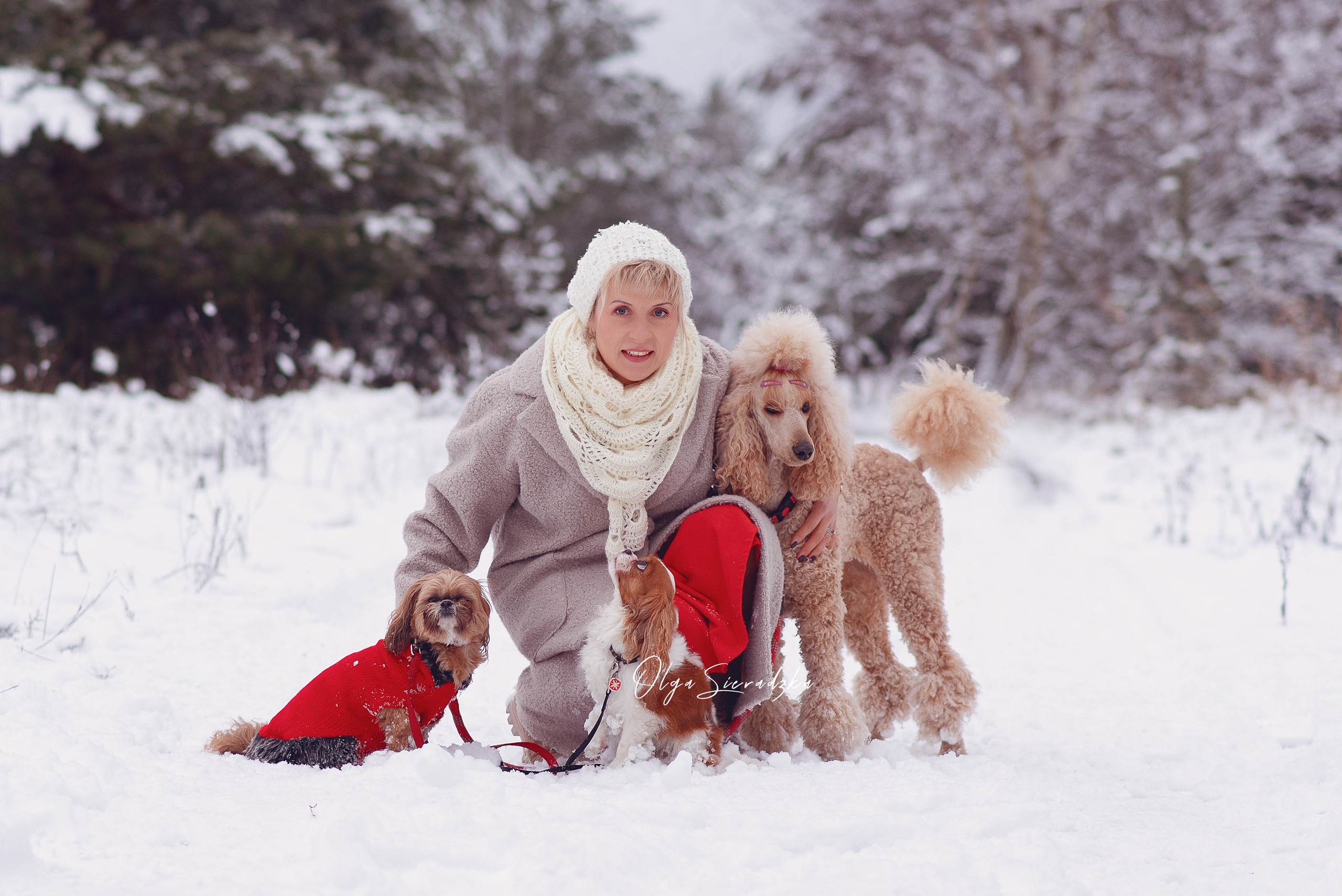 Christmas time. Olga Sieradzka fotograf rodzinny, ciążowy i dziecięcy w Pile