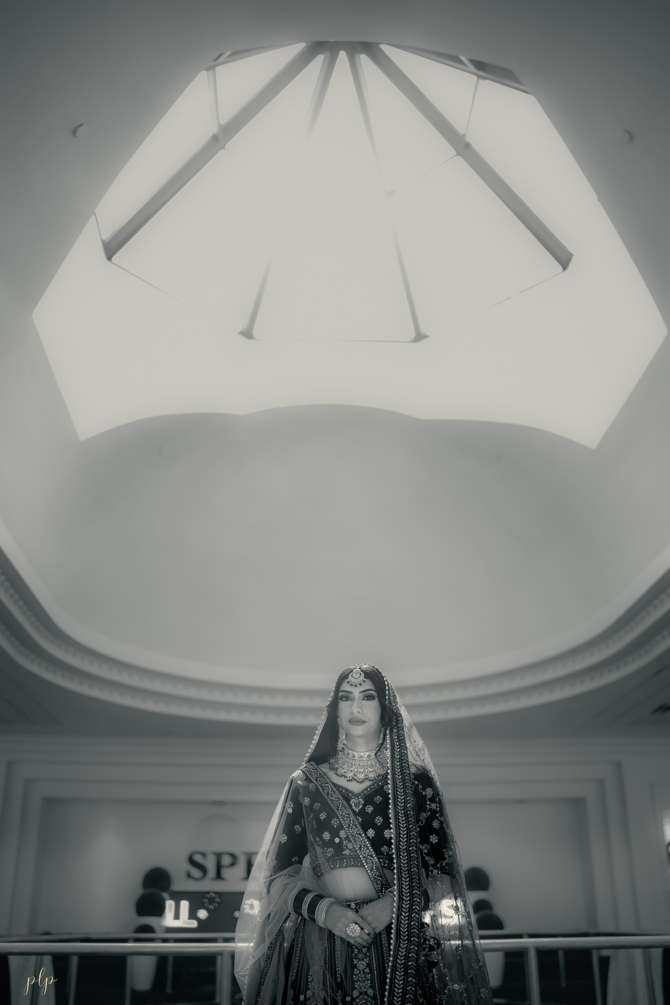 Kashish & Andrew. Wedding Photographers and Filmmakers