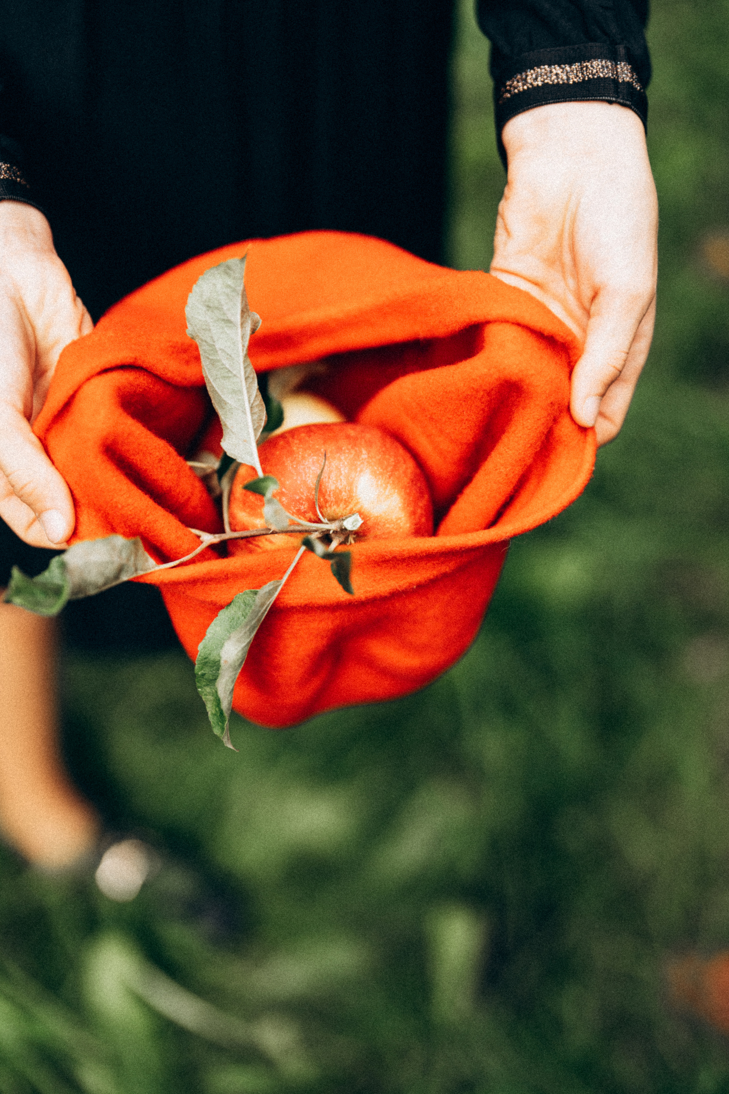 Яблочный сад. Familien, Lifestyle und Portrait Fotografin in Trier, Luxembourg