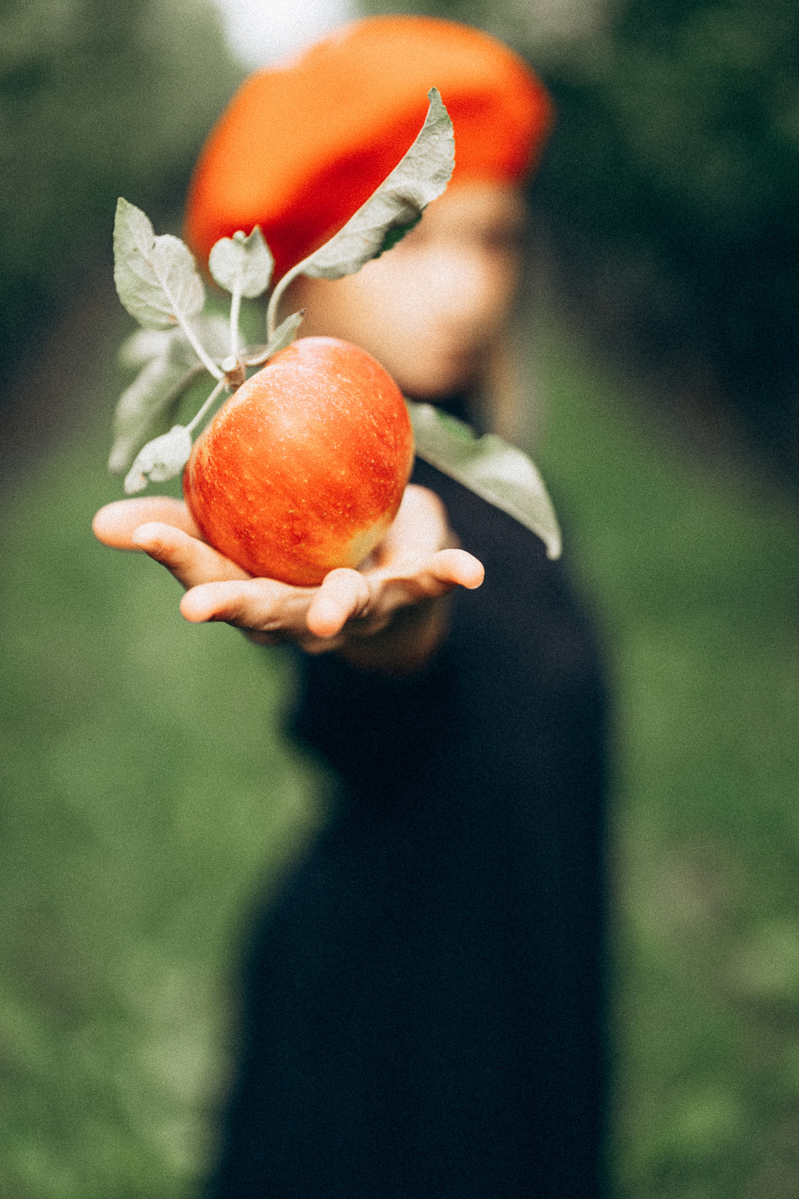 Яблочный сад. Familien, Lifestyle und Portrait Fotografin in Trier, Luxembourg