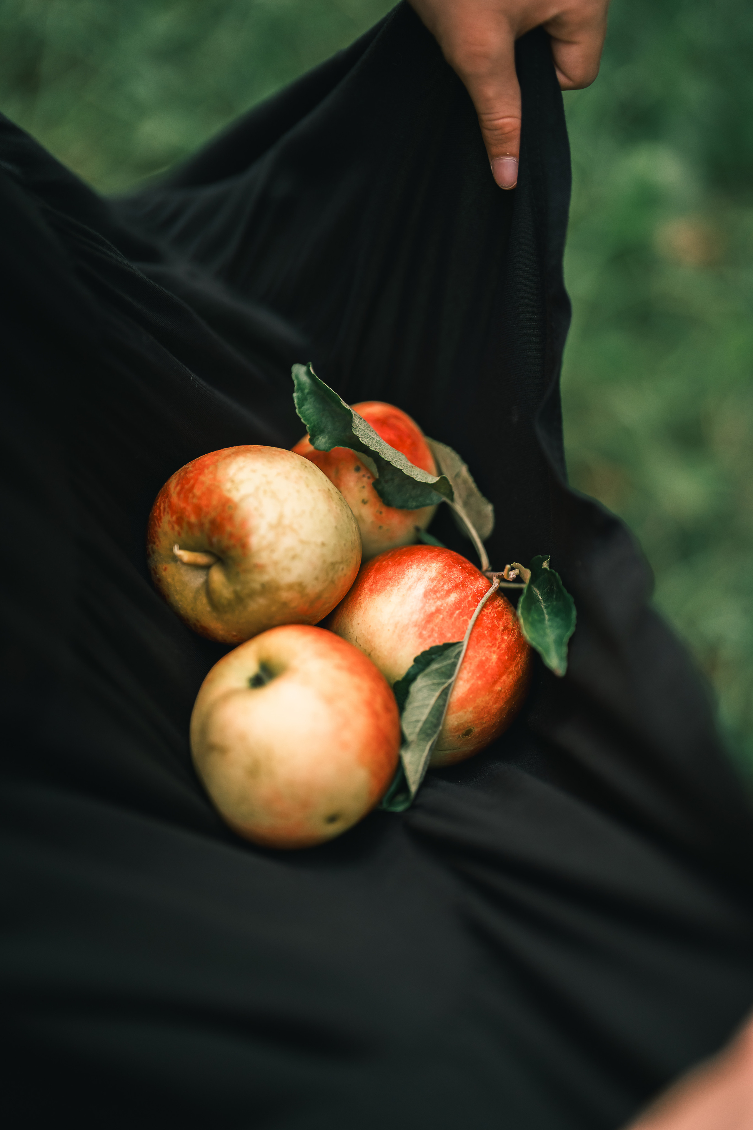 Яблочный сад. Familien, Lifestyle und Portrait Fotografin in Trier, Luxembourg