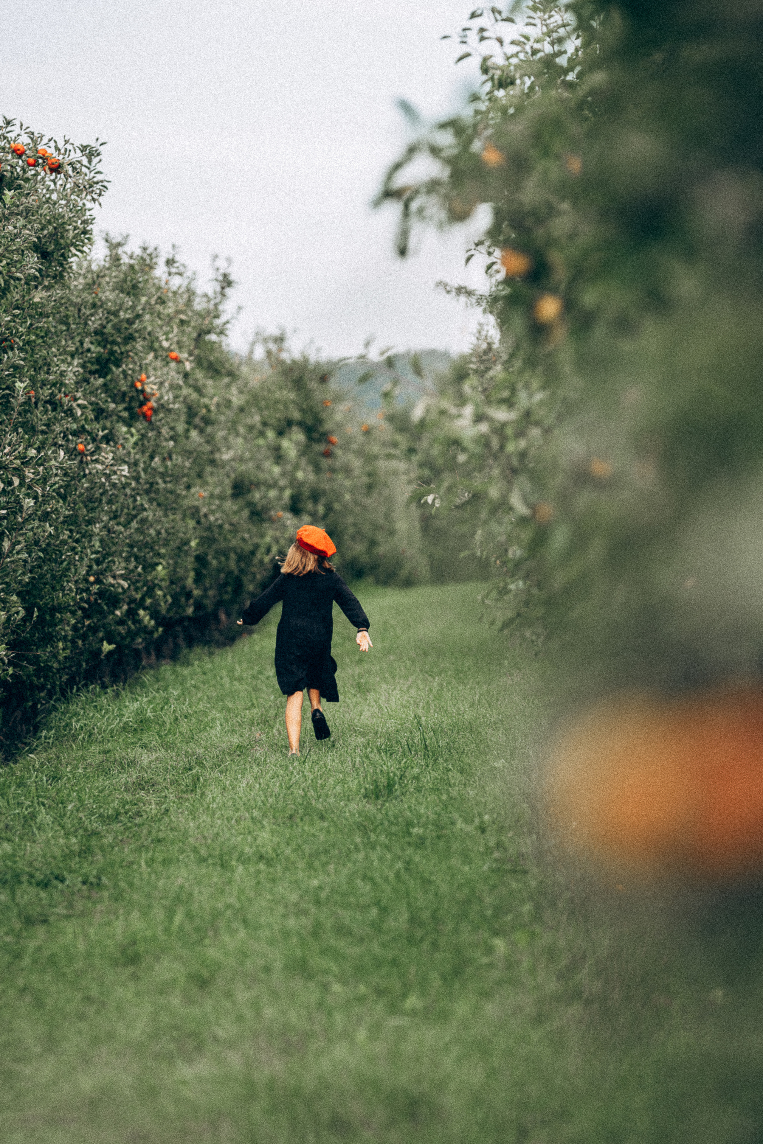 Яблочный сад. Familien, Lifestyle und Portrait Fotografin in Trier, Luxembourg
