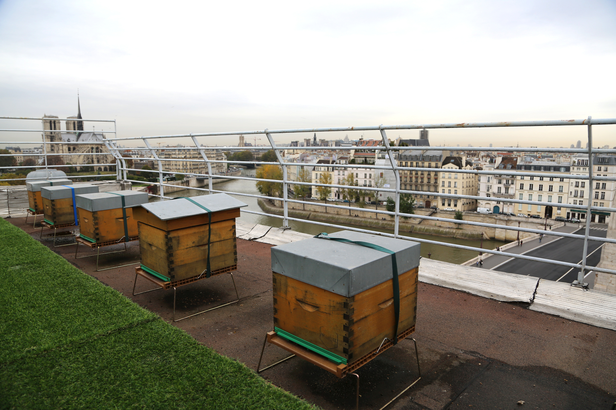 Le toit de la Tour d'Argent