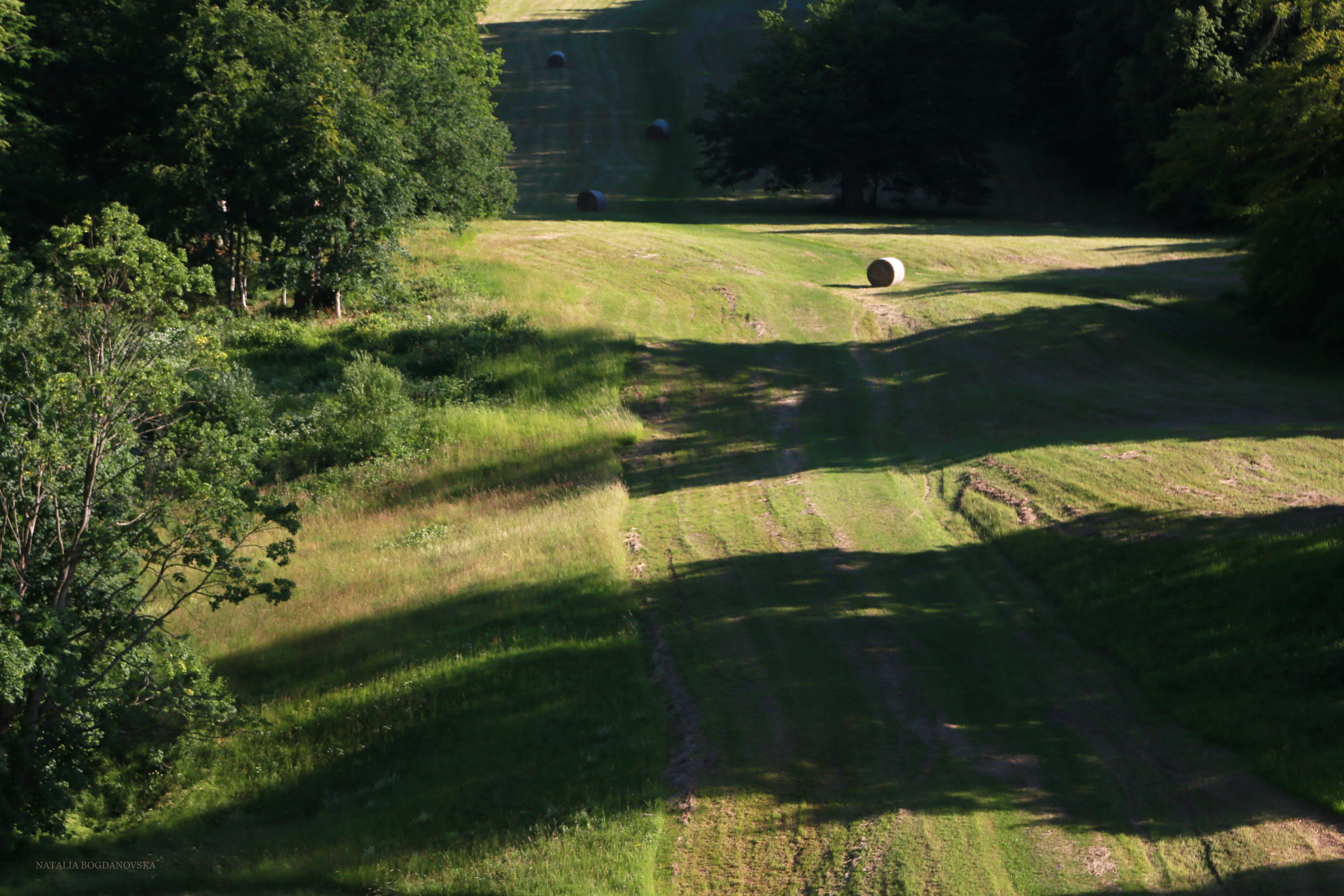 NATURE MORTE et VIVANTE. Natalia Bogdanovska. Films et photographie corporate en France