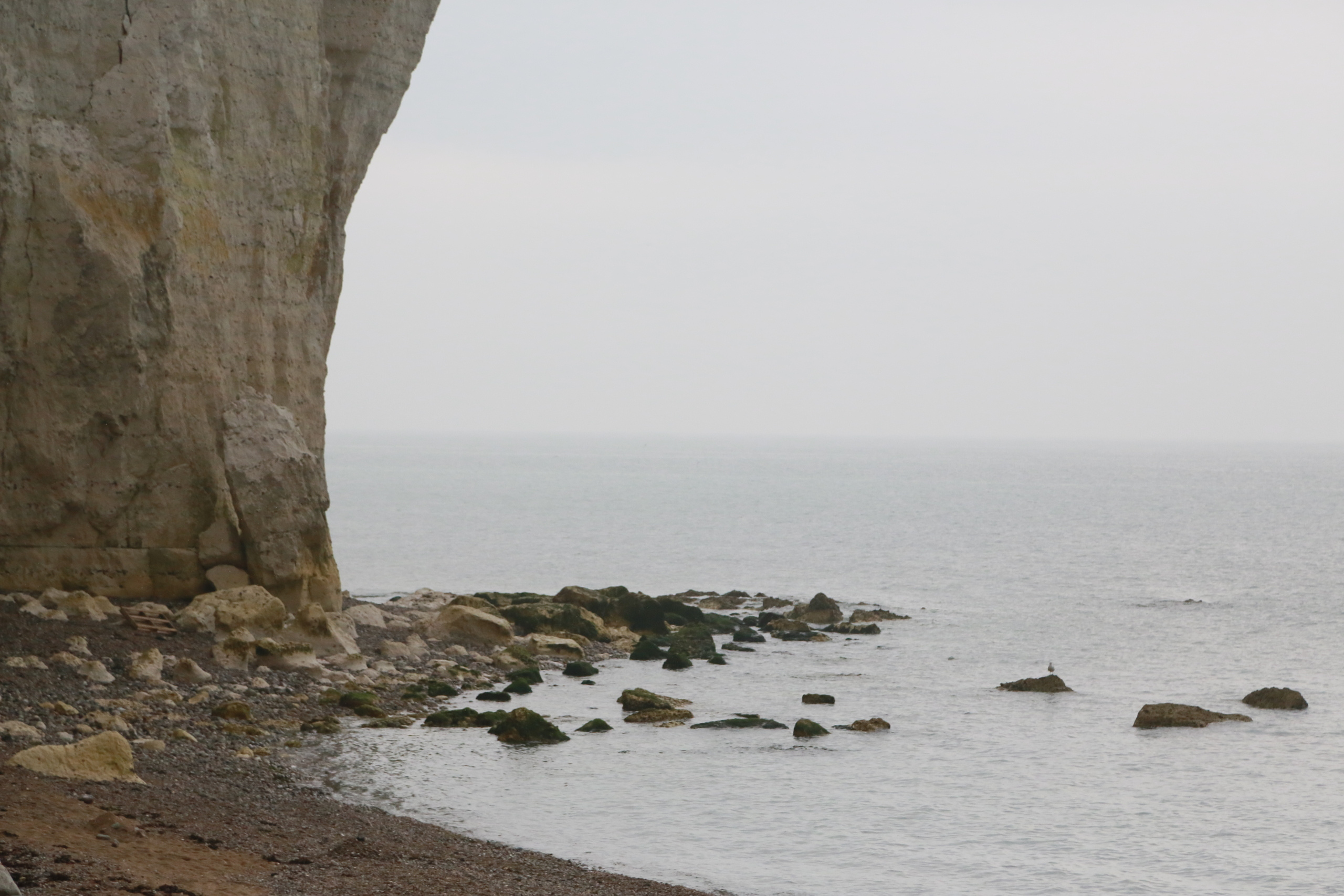 NATURE MORTE et VIVANTE. Natalia Bogdanovska. Films et photographie corporate en France
