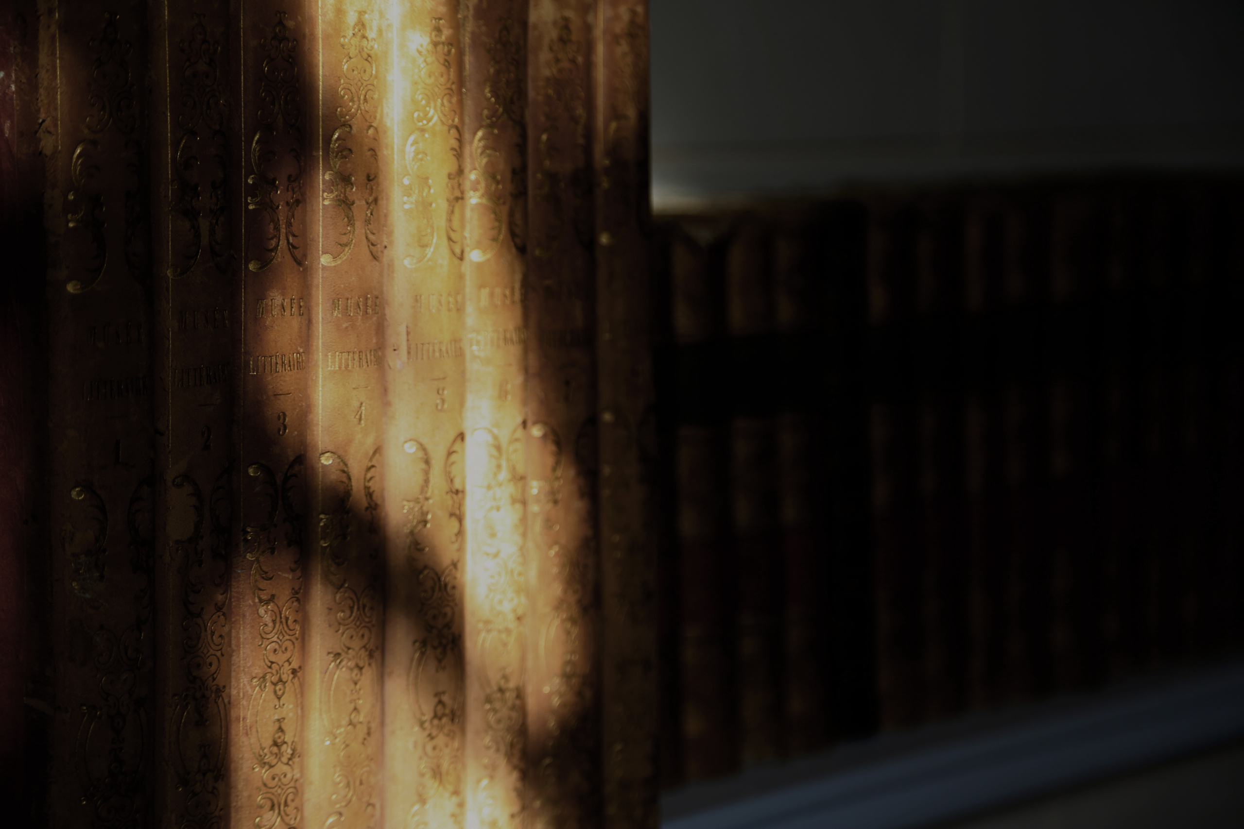 Manoir de Briquedalles. Natalia Bogdanovska. Films et photographie corporate en France