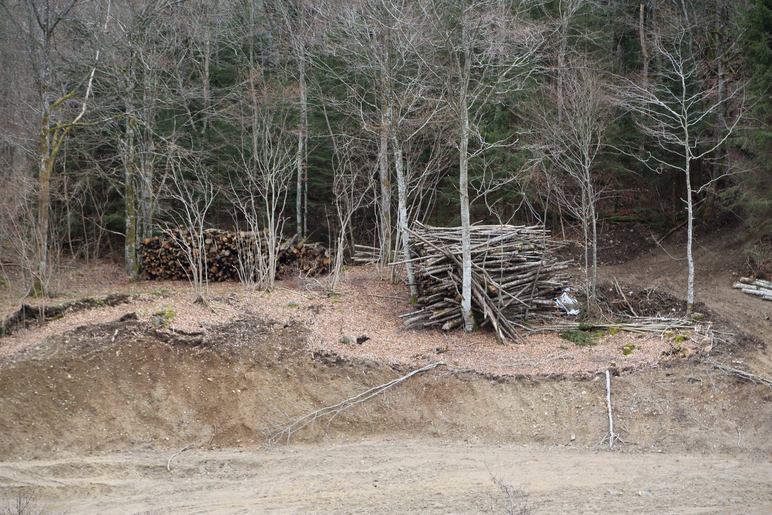 NATURE MORTE et VIVANTE. Natalia Bogdanovska. Films et photographie corporate en France