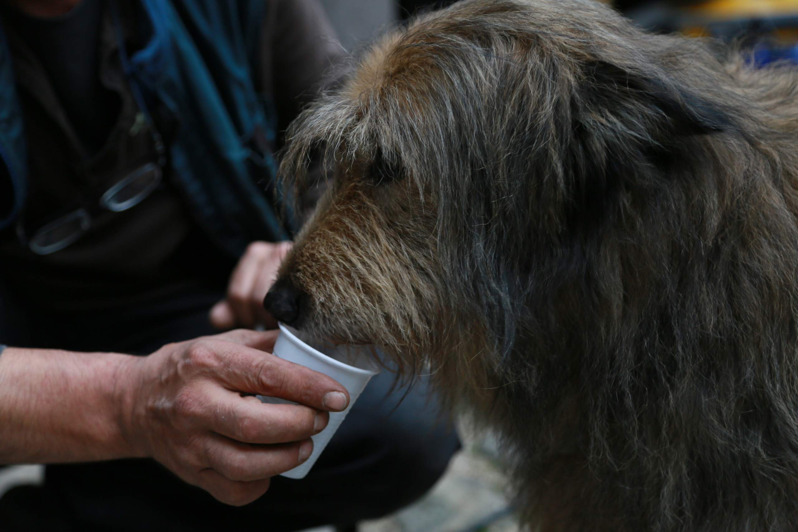 Making of. Natalia Bogdanovska. Films et photographie corporate en France
