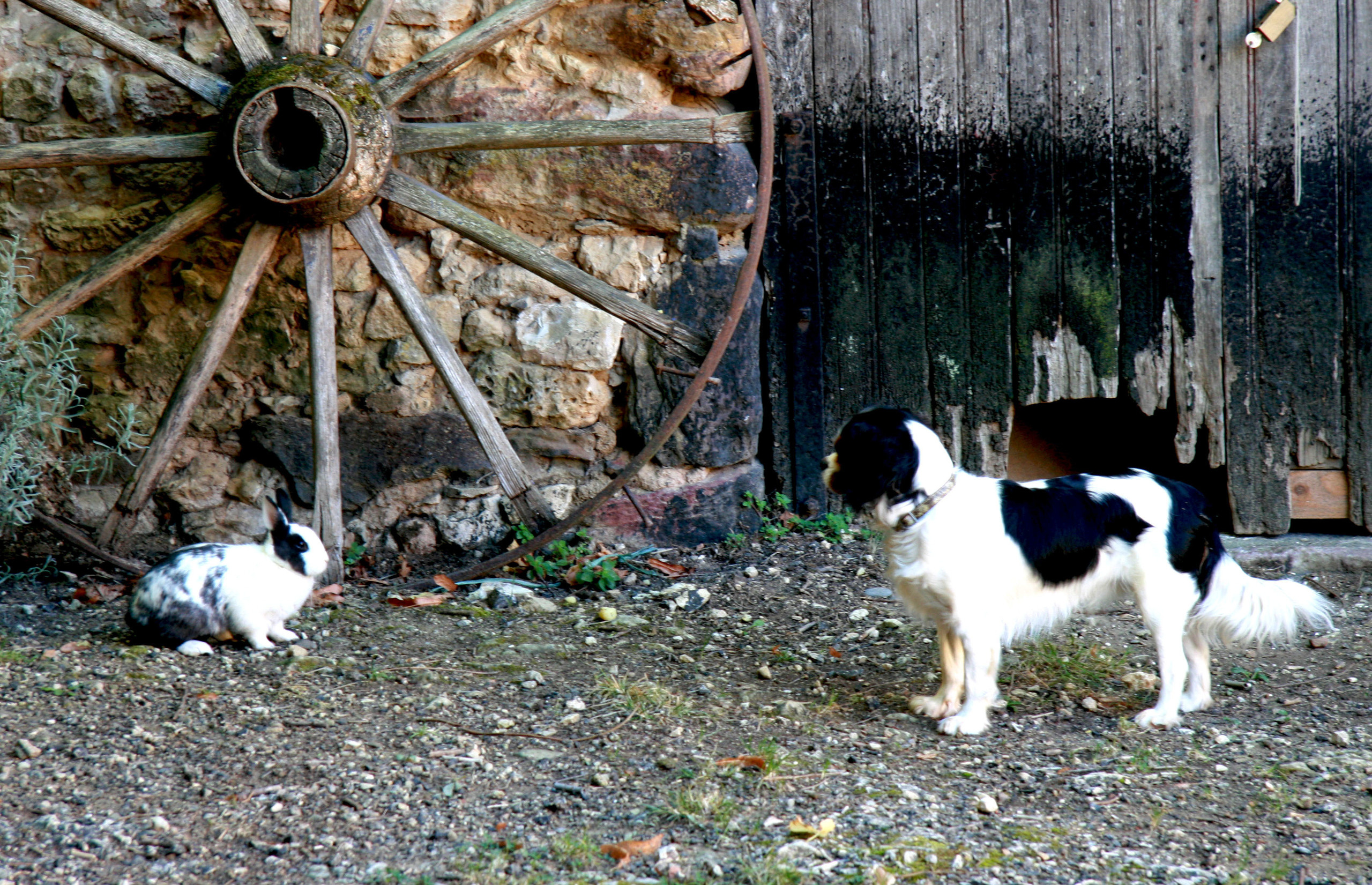 NATURE MORTE et VIVANTE. Natalia Bogdanovska. Films et photographie corporate en France