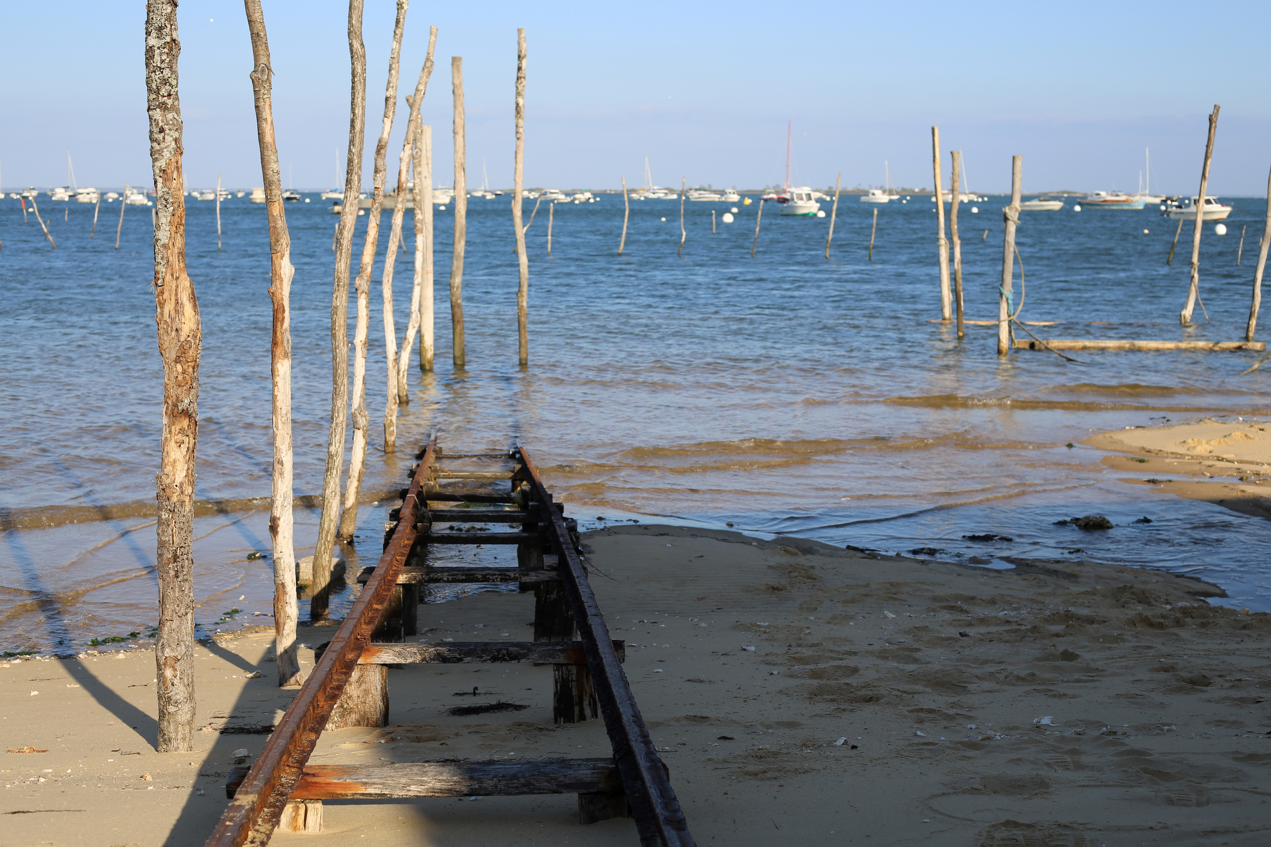 NATURE MORTE et VIVANTE. Natalia Bogdanovska. Films et photographie corporate en France