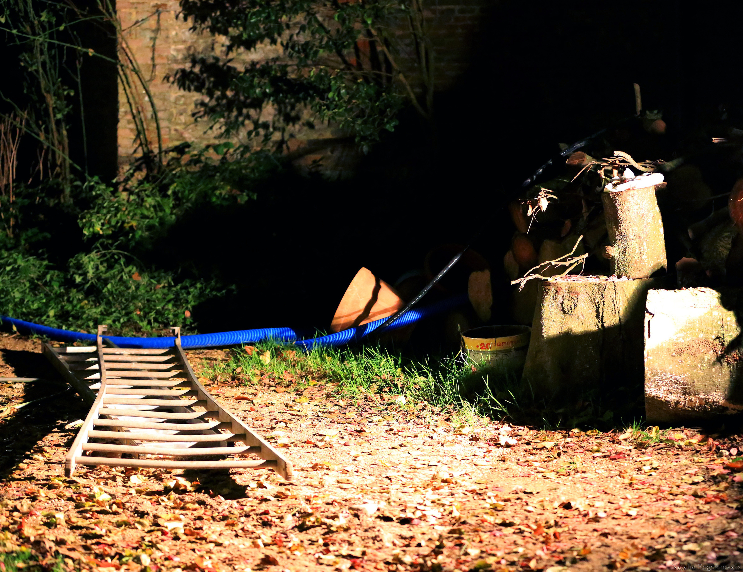 Manoir de Briquedalles. Natalia Bogdanovska. Films et photographie corporate en France