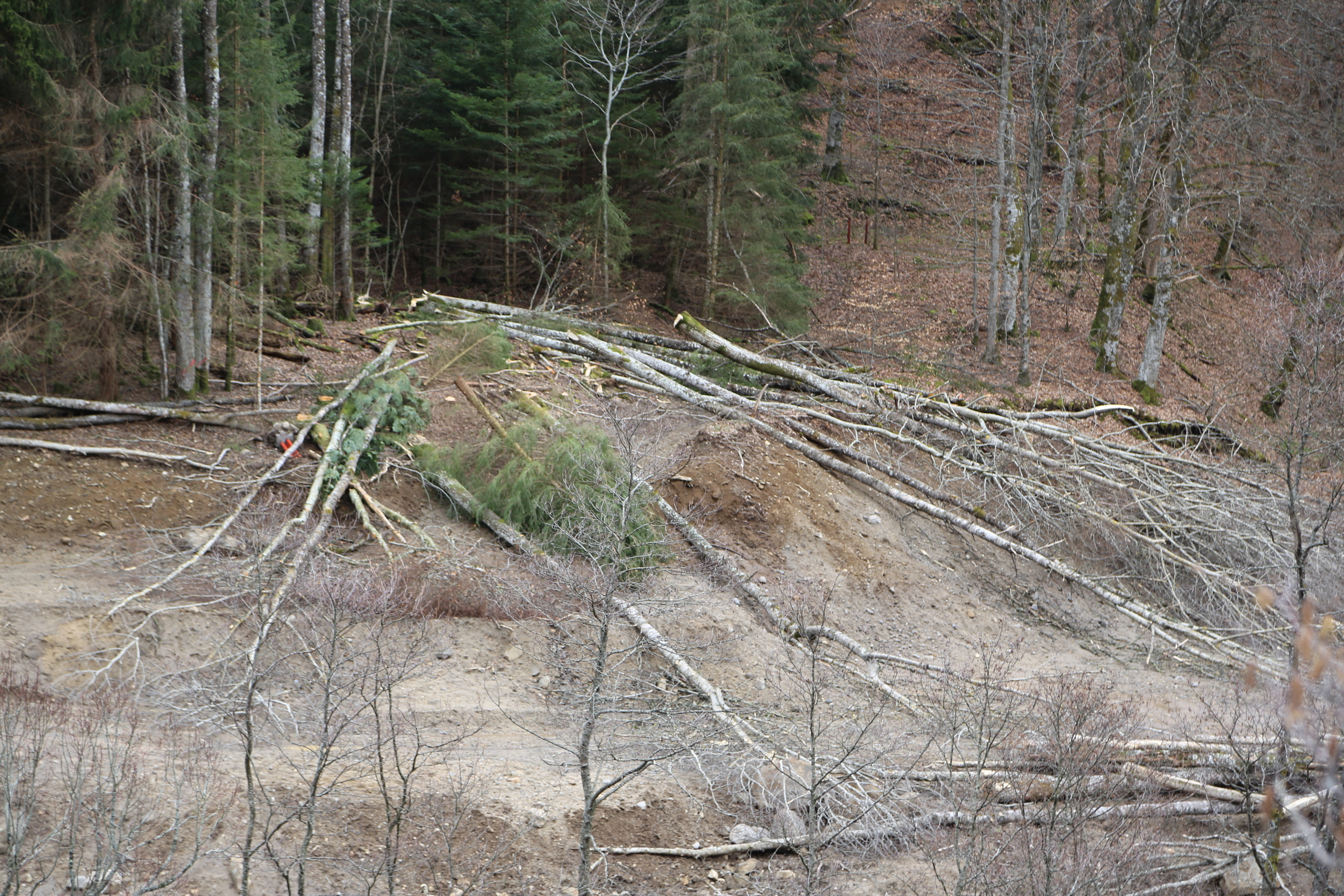 NATURE MORTE et VIVANTE. Natalia Bogdanovska. Films et photographie corporate en France