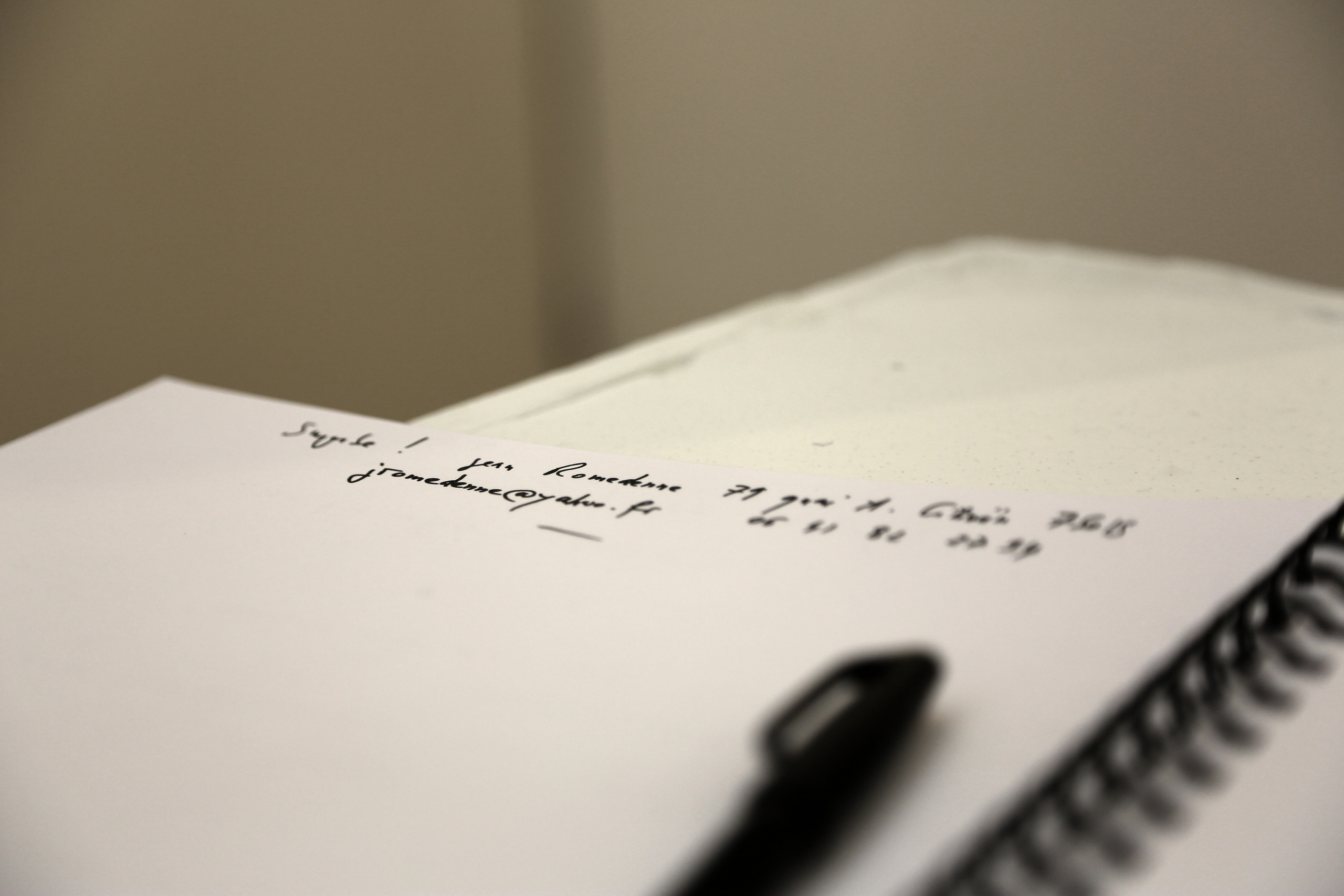 Les artistes et la fanbase. Natalia Bogdanovska. Films et photographie corporate en France