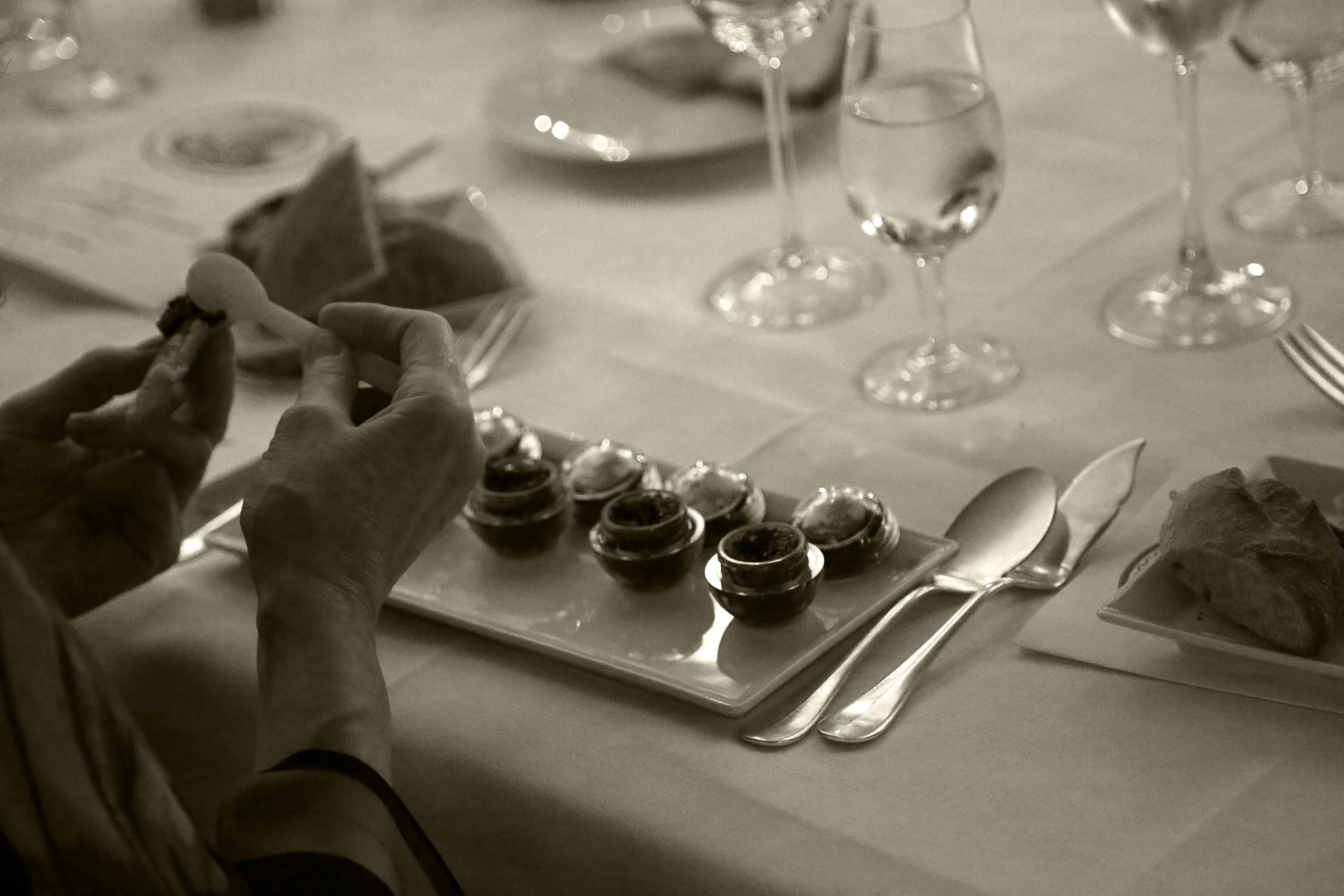 PETROSSIAN ENTREPRISE. Natalia Bogdanovska. Films et photographie corporate en France