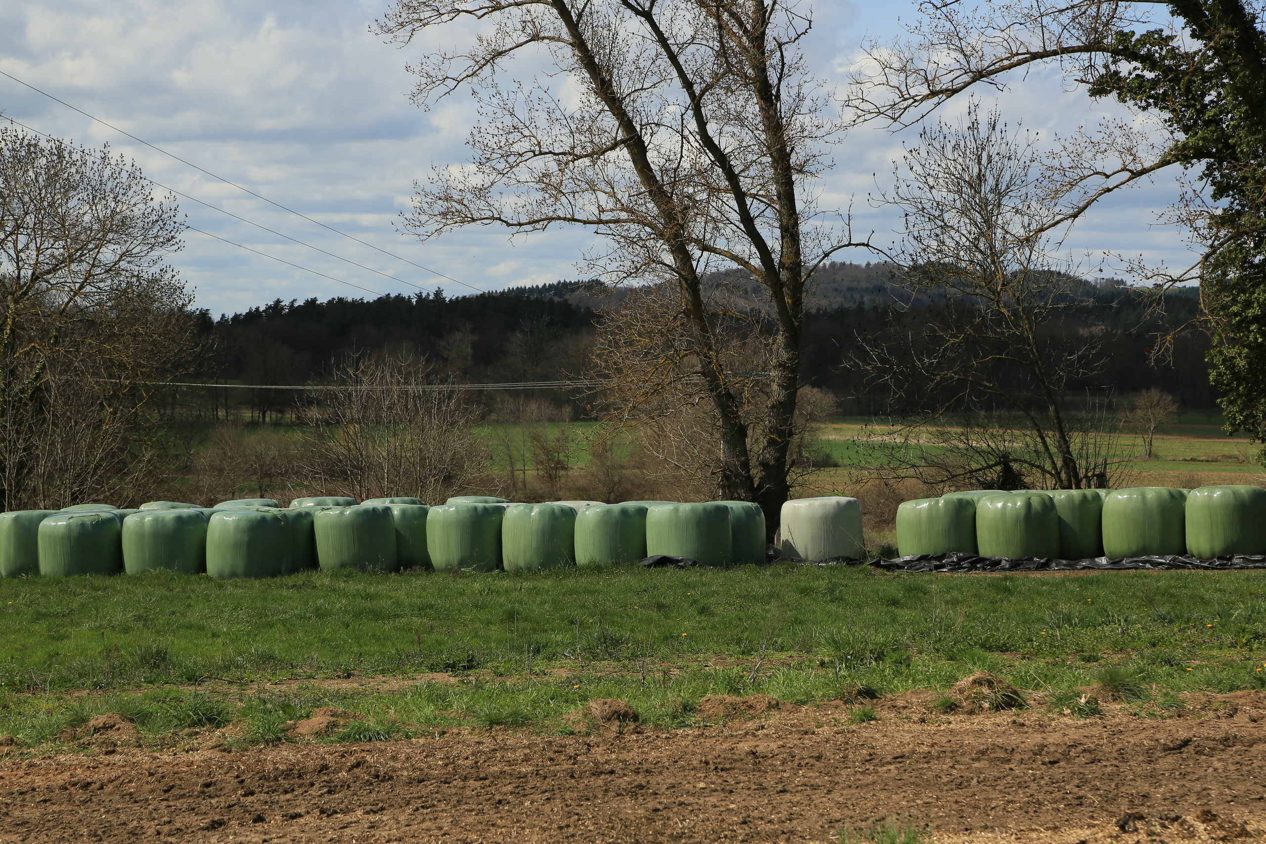 NATURE MORTE et VIVANTE. Natalia Bogdanovska. Films et photographie corporate en France