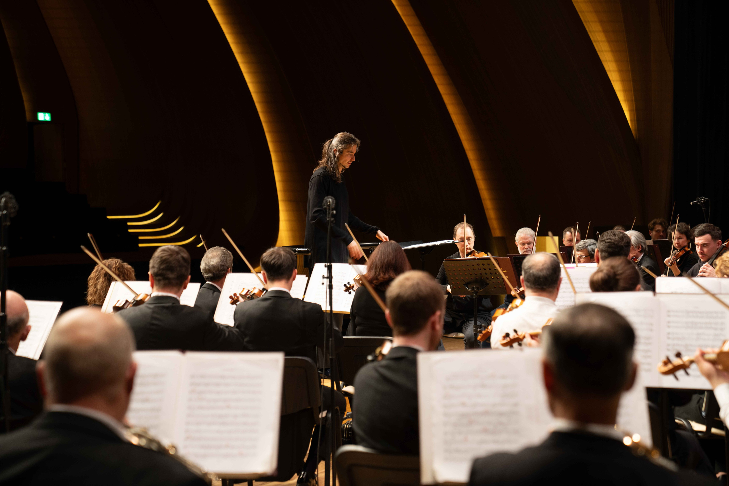 The Tchaikovsky Academic Grand Symphony Orchestra in Baku. Wedding&Event photographer Ismail Rzayev in Baku