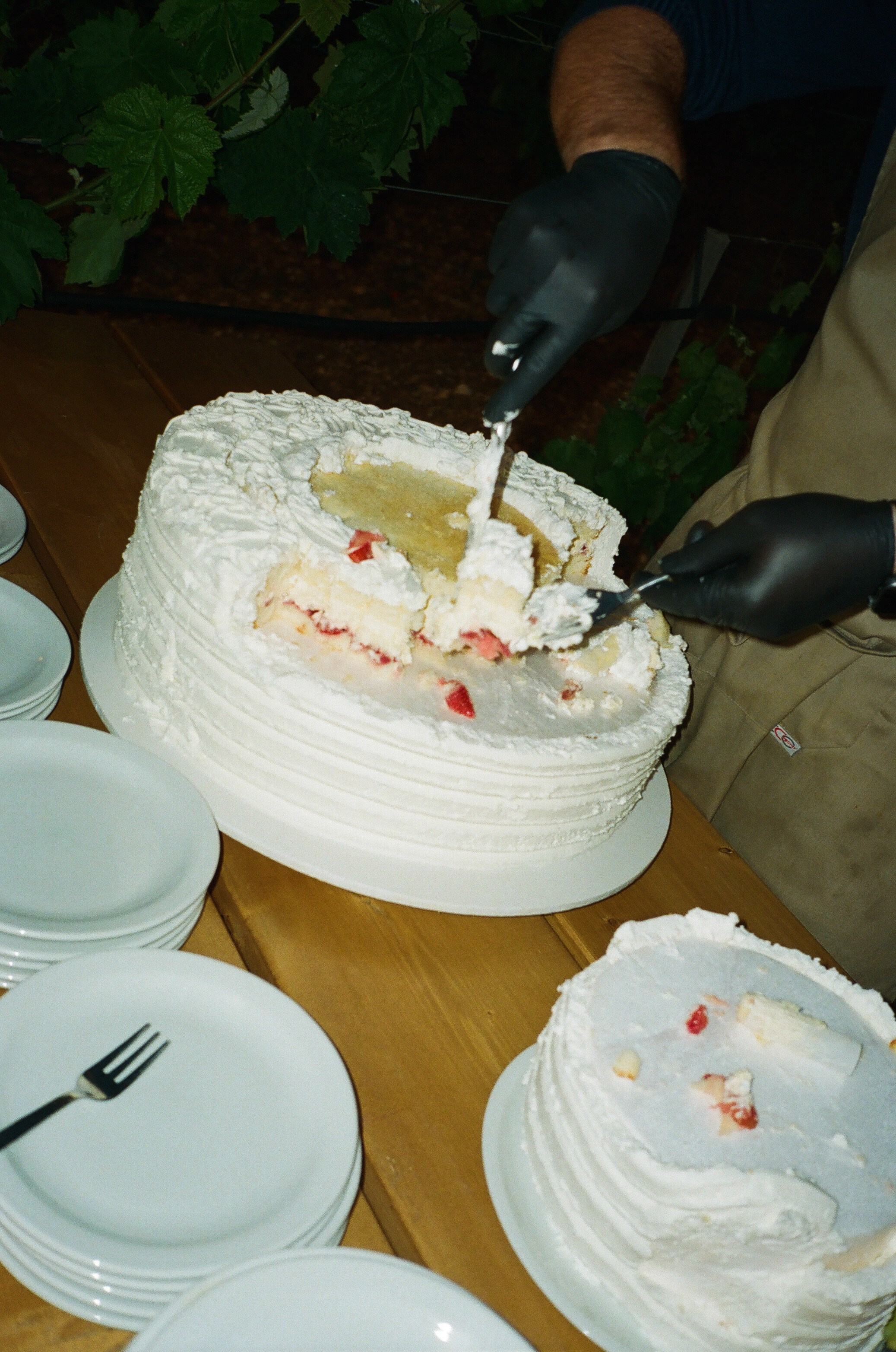 Stephanie & Christian film photos. Весільний фотограф Вікторія Саврук