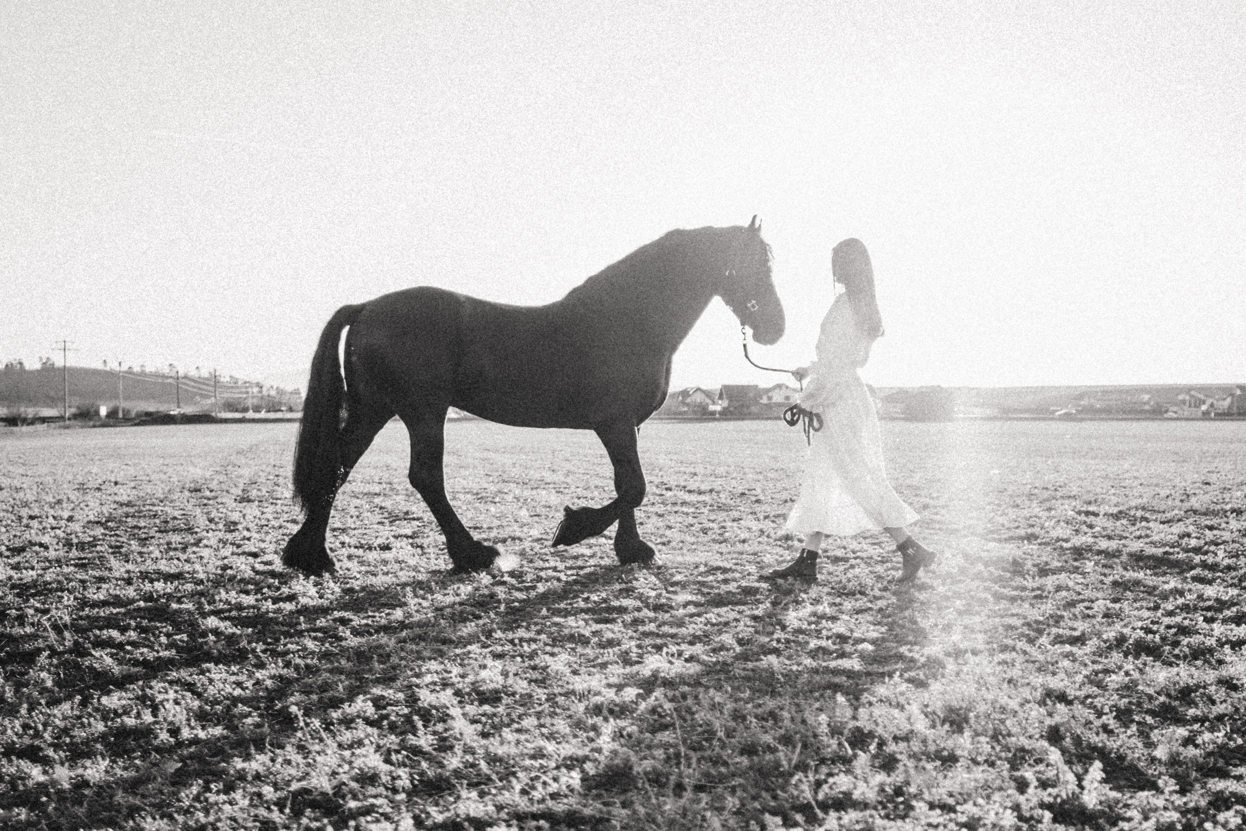 Marharyta&Veron. VOLKOVA OLGA