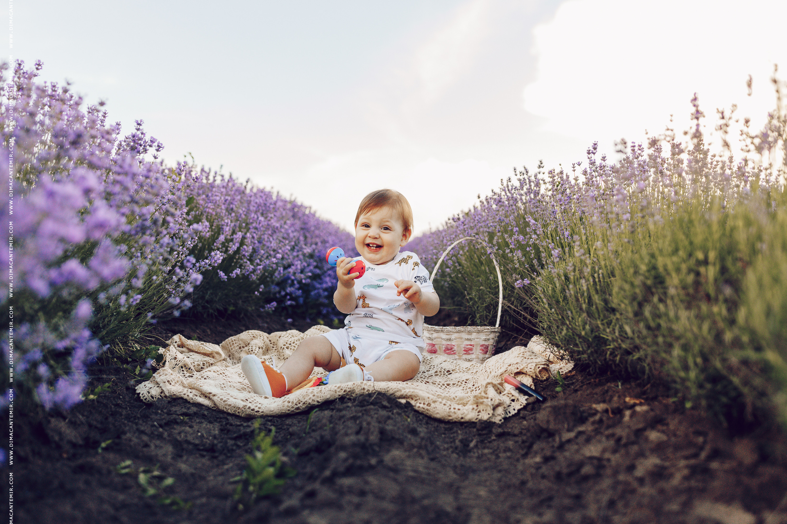Emir / cîmp de levănțică. Fotograf de nuntă în Chisinau, Moldova. Poze și Video Comerciale