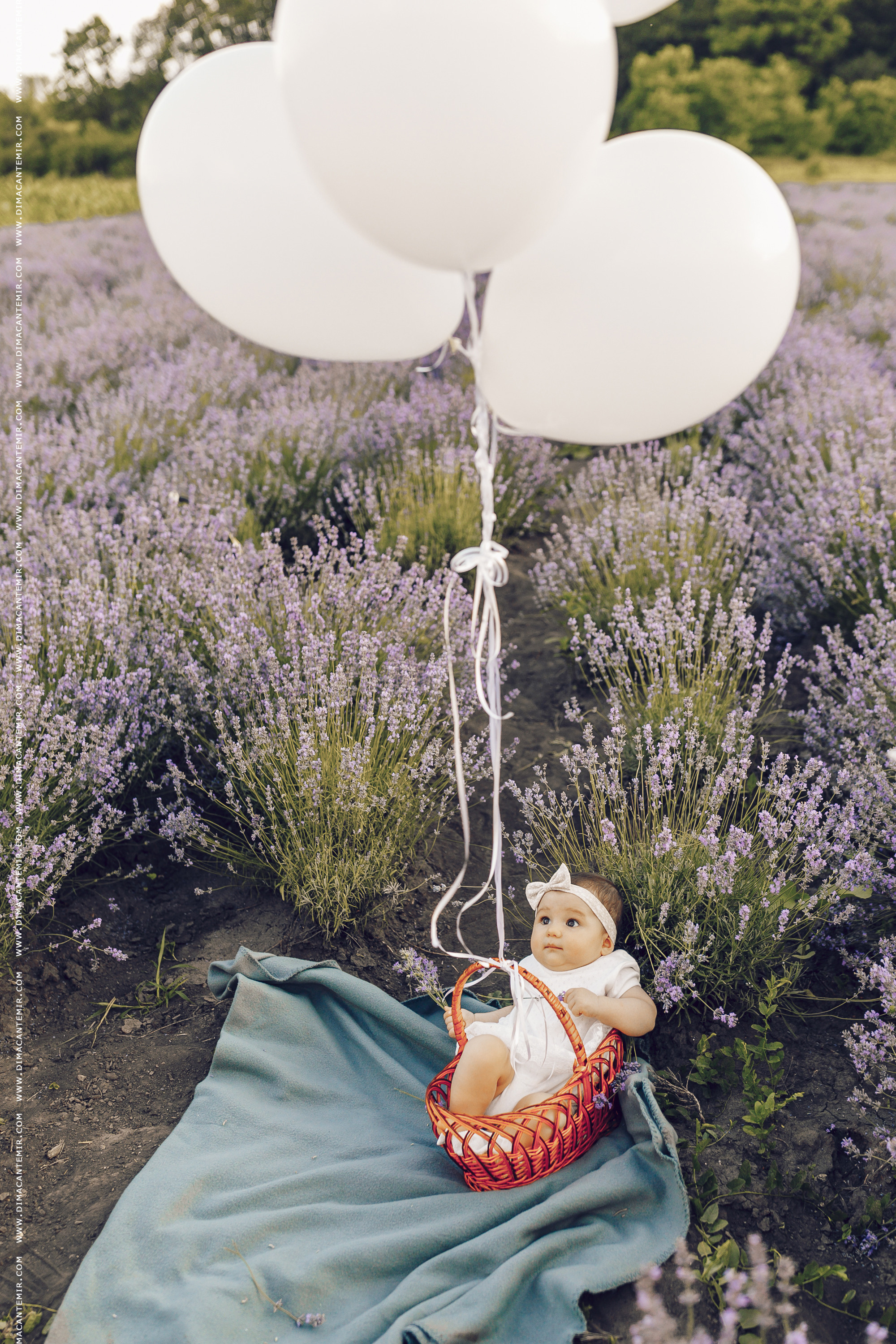 BEAUTIFUL SUNSET. Fotograf de nuntă în Chisinau, Moldova. Poze și Video Comerciale