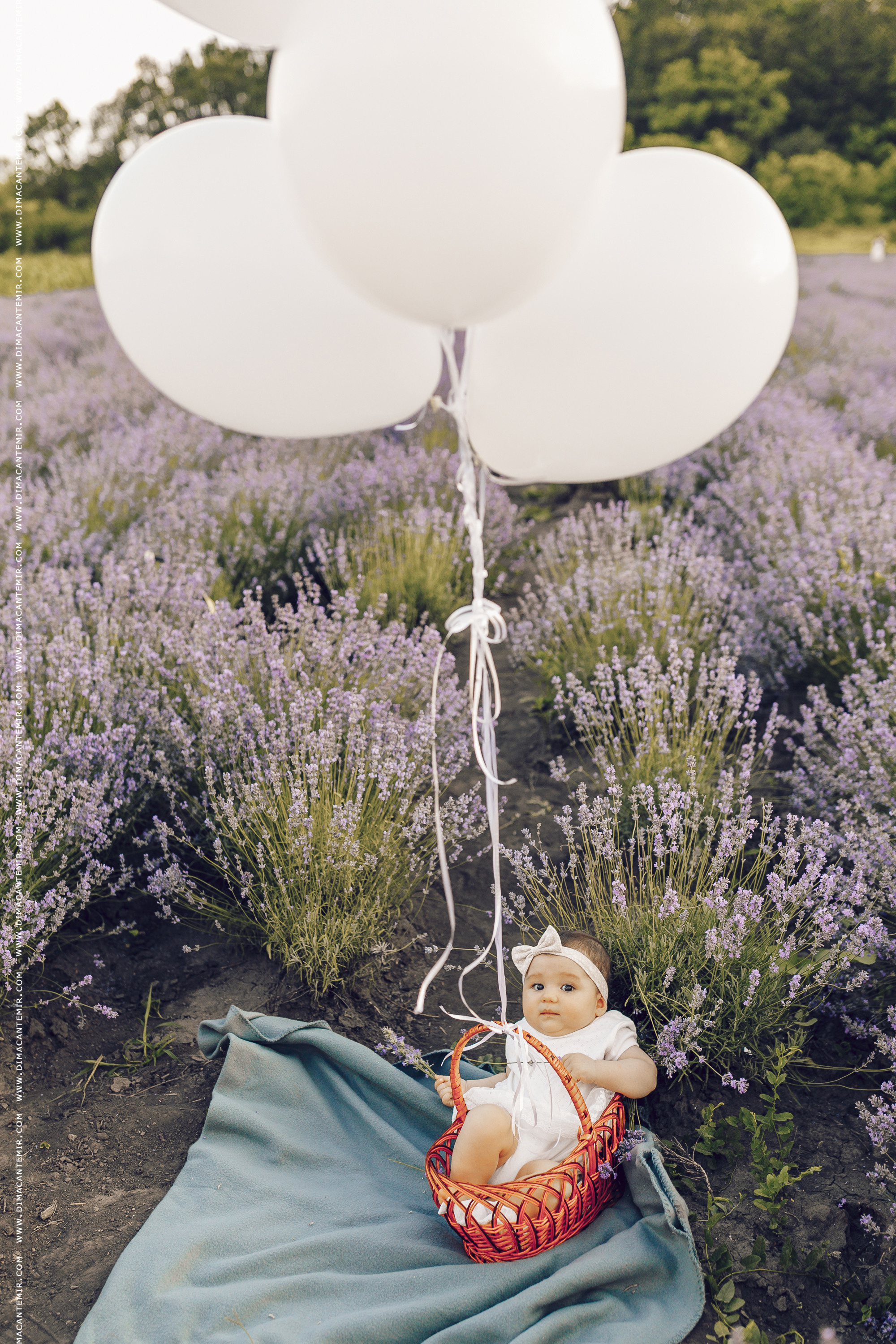 BEAUTIFUL SUNSET. Fotograf de nuntă în Chisinau, Moldova. Poze și Video Comerciale