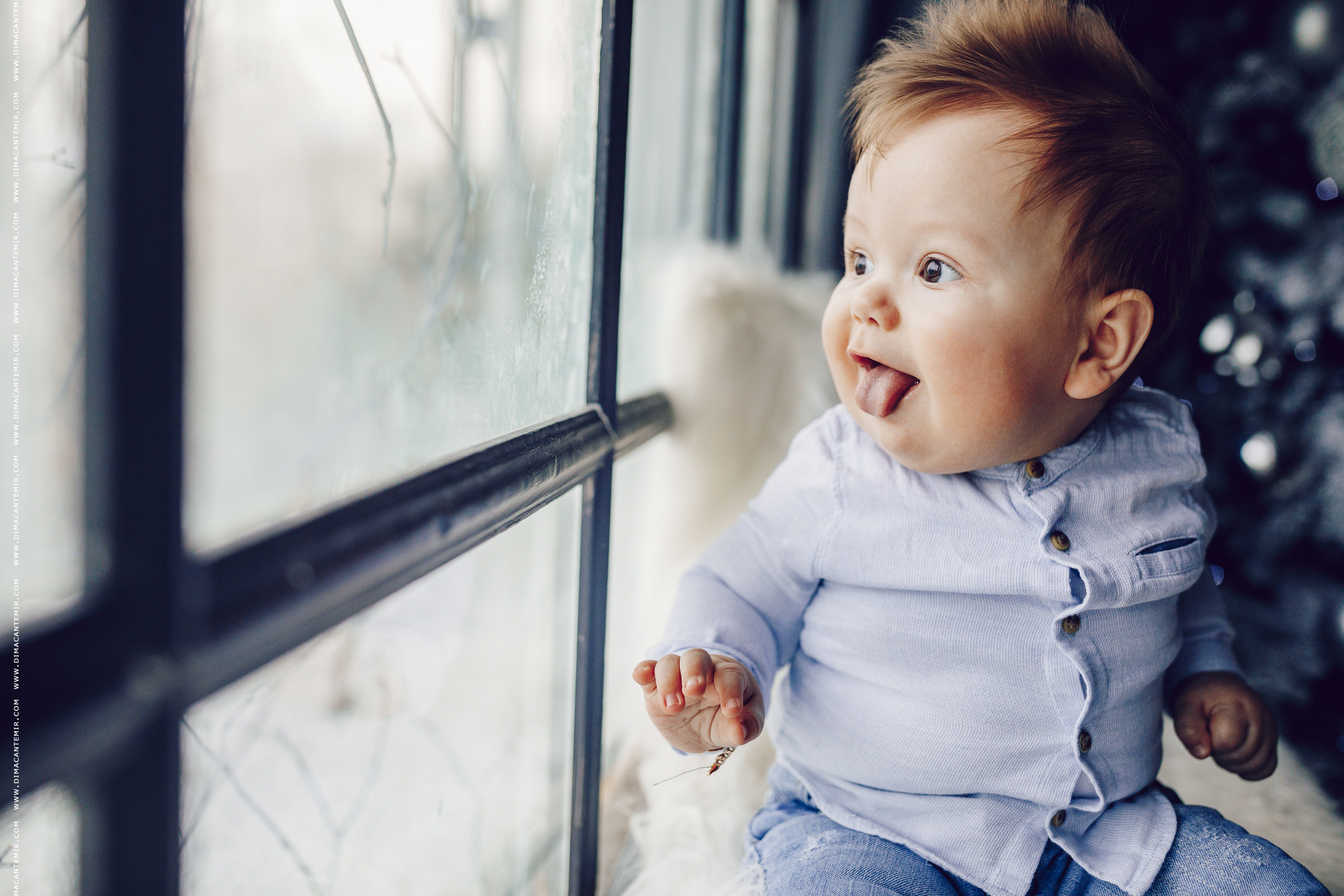 BOGDAN. Свадебный фотограф Молдова Кишинёв