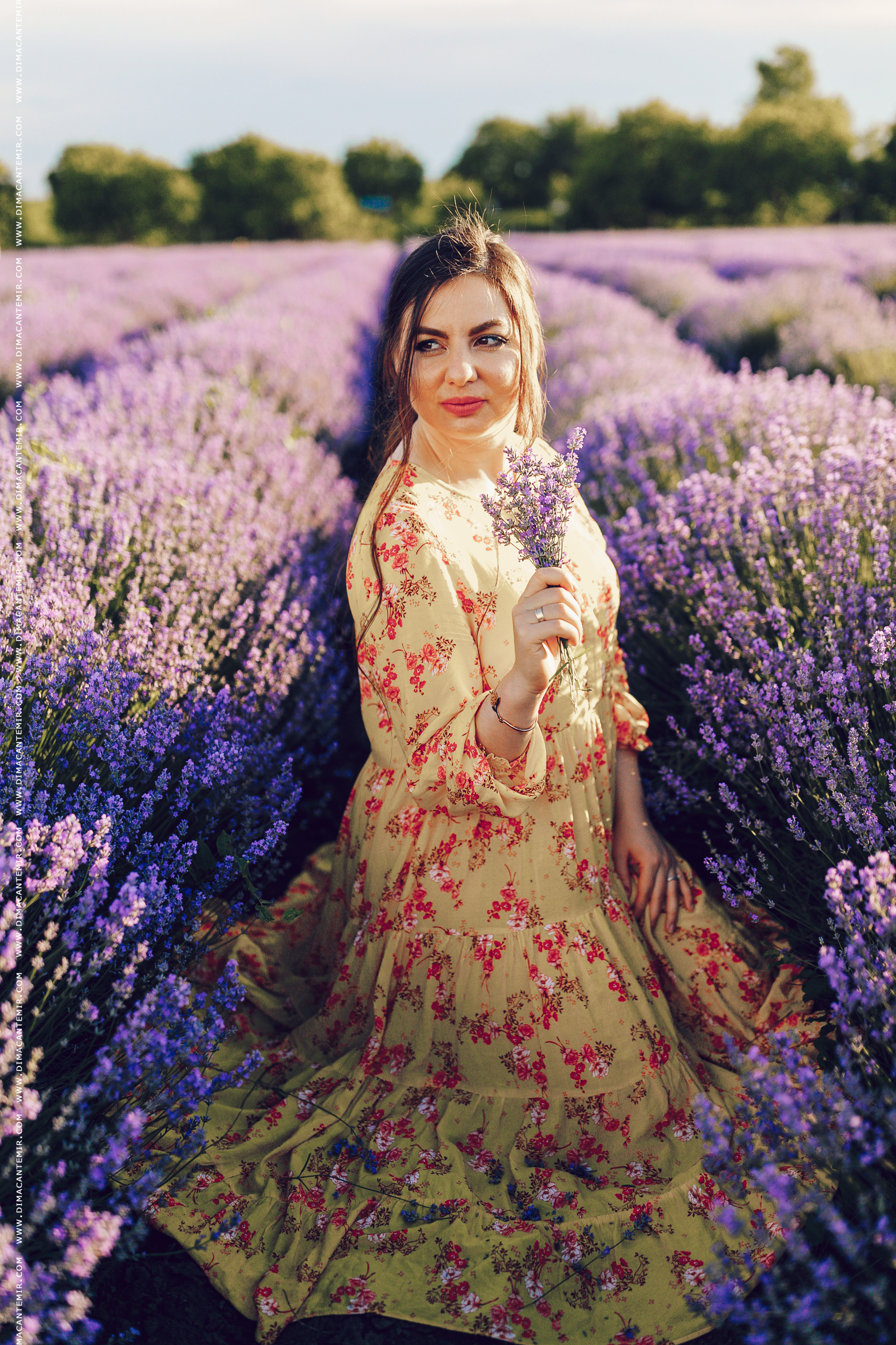 Emir / cîmp de levănțică. Fotograf de nuntă în Chisinau, Moldova. Poze și Video Comerciale